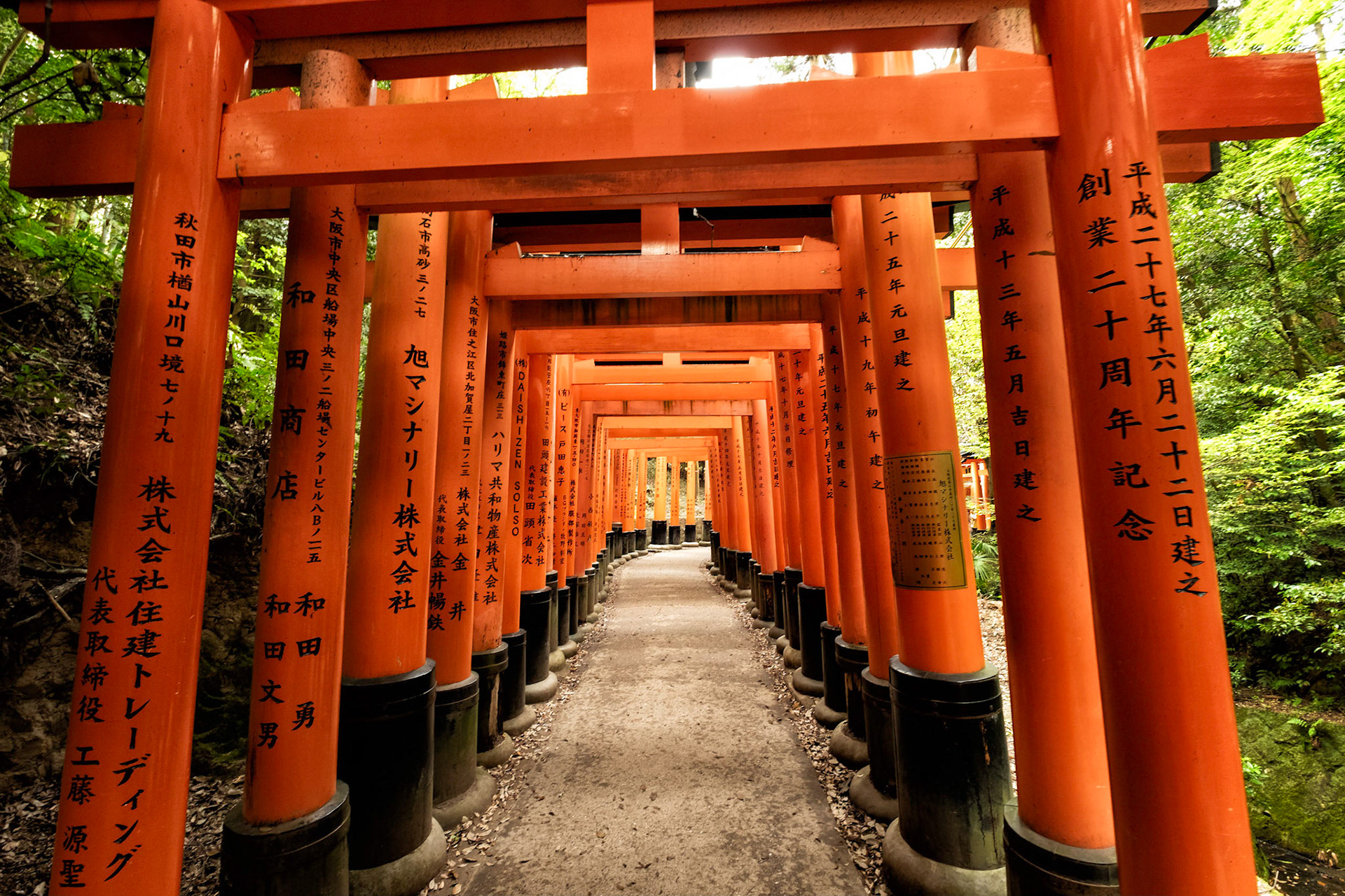 Thousands of vermilion torii - Fushimi Inari Taisha, Kyoto, Japan