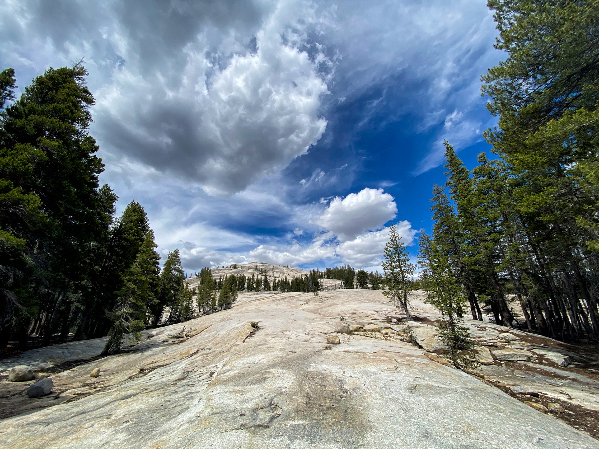 PCT: Yosemite National Park, Groveland, CA