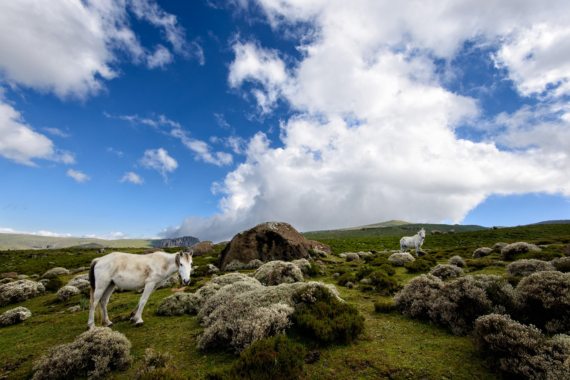 Climbing the Plateau - Bale Mountain National Park, Ethiopia