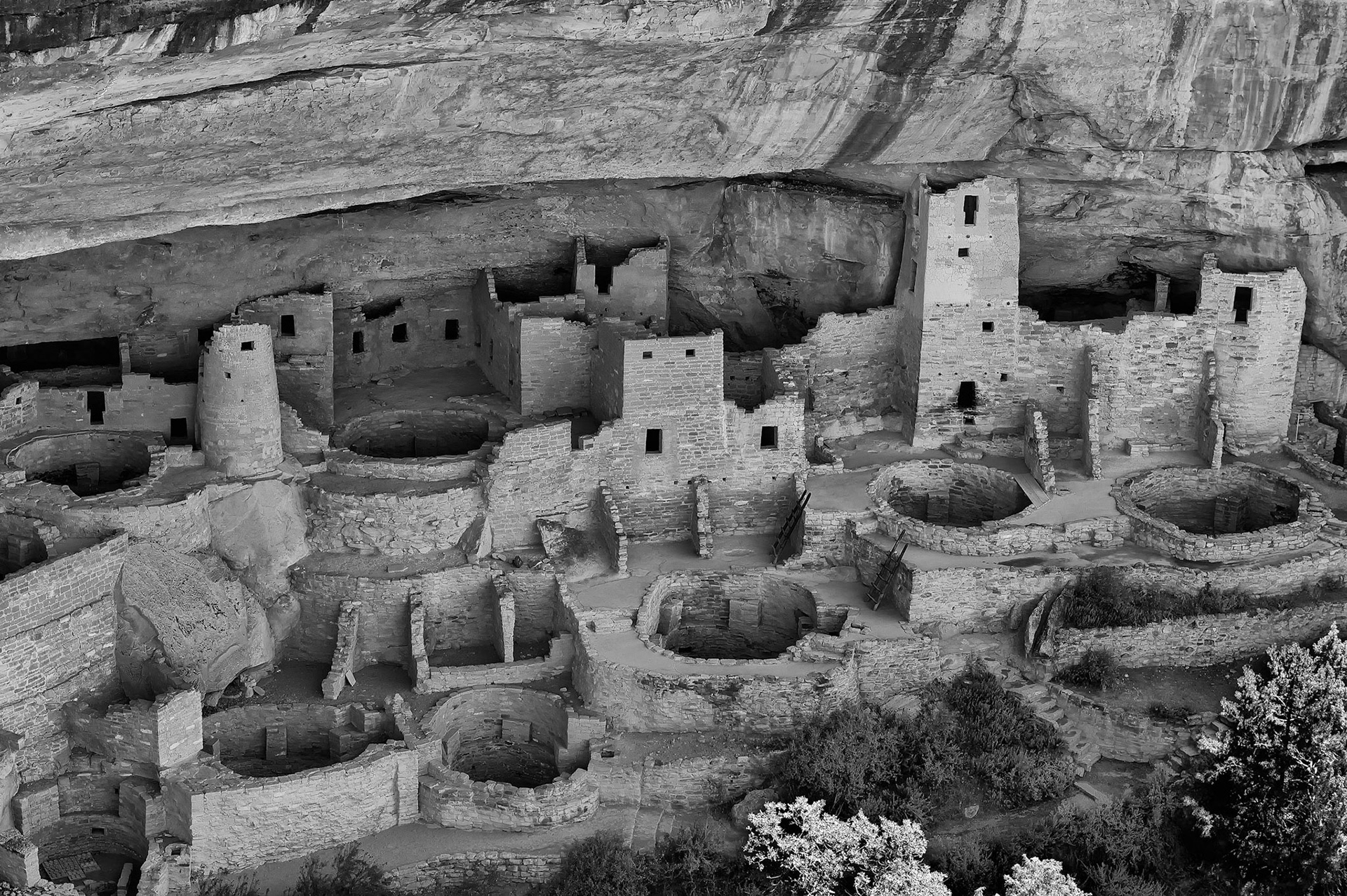 Cliff Palace - Mesa Verde National Park, Colorado