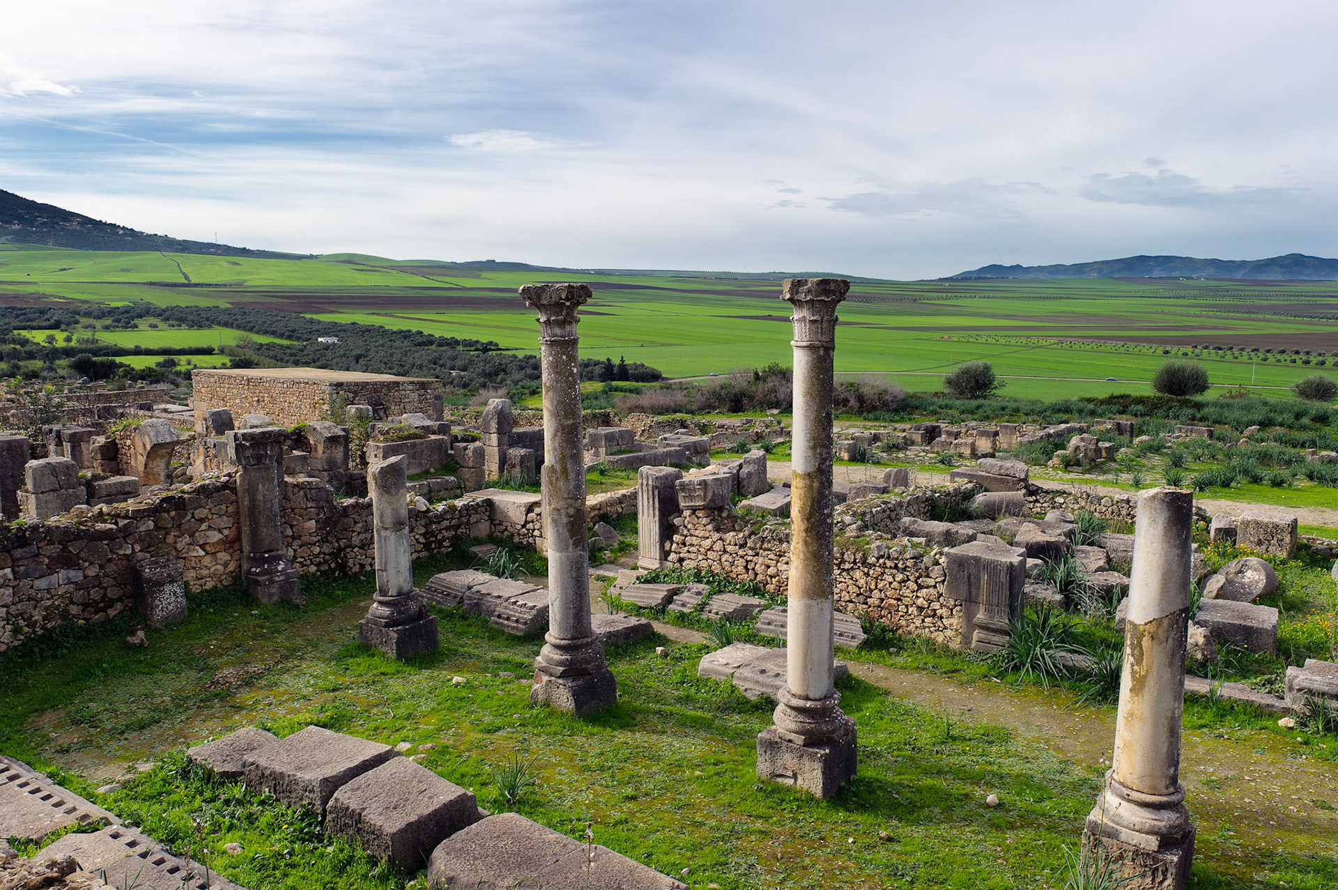 Volubilis Columns - Volubilis, Morocco