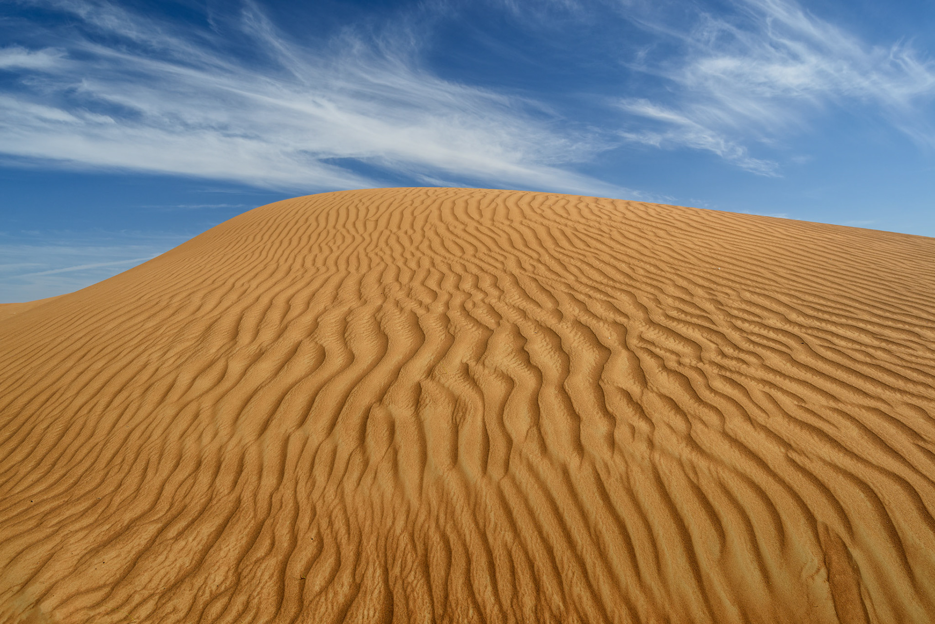 Al Maleha - Sharjah, UAE