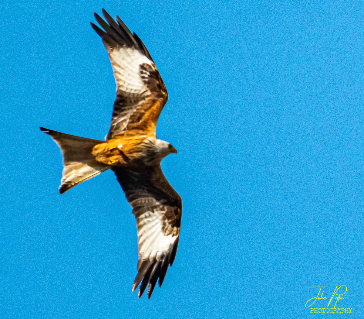 Milan Royal, Haute Savoie, France