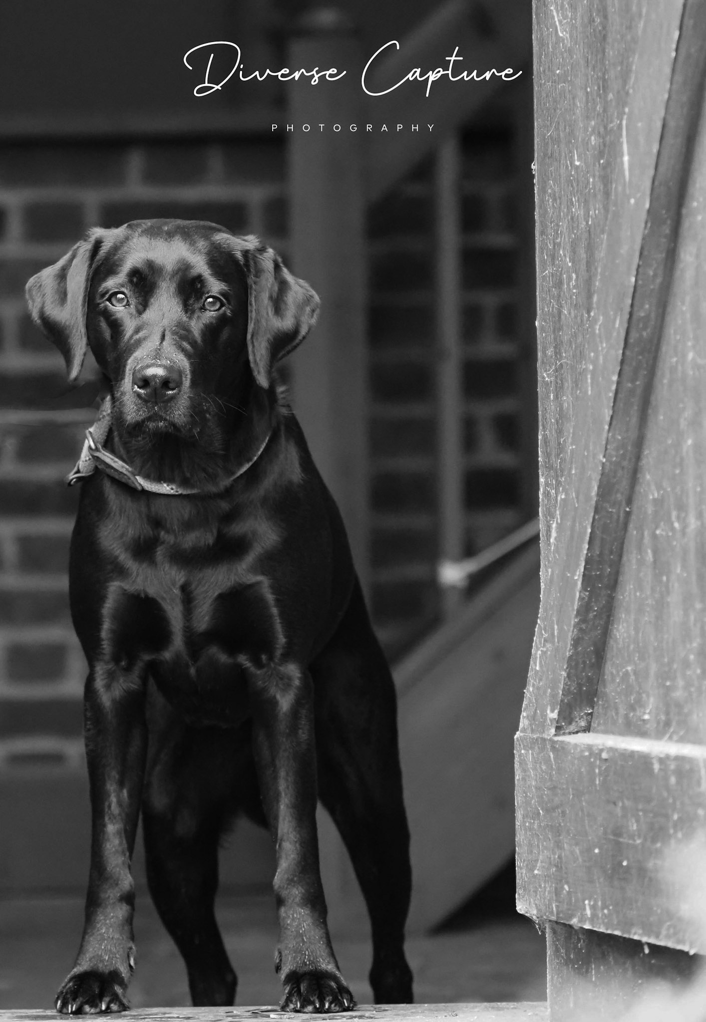 Portrait photographer Sudbury, Suffolk