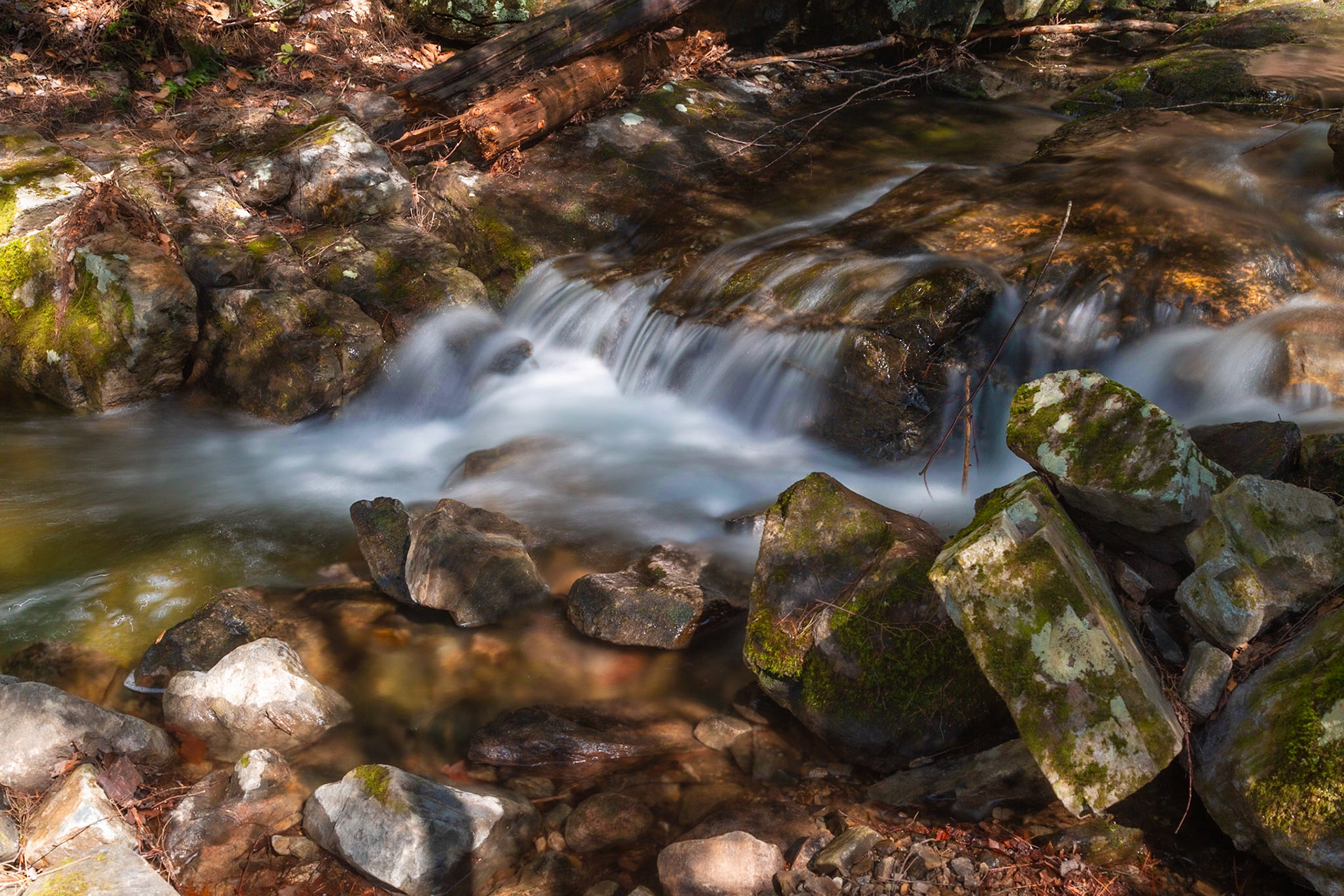 Brook Along the Clay Meadow Trail