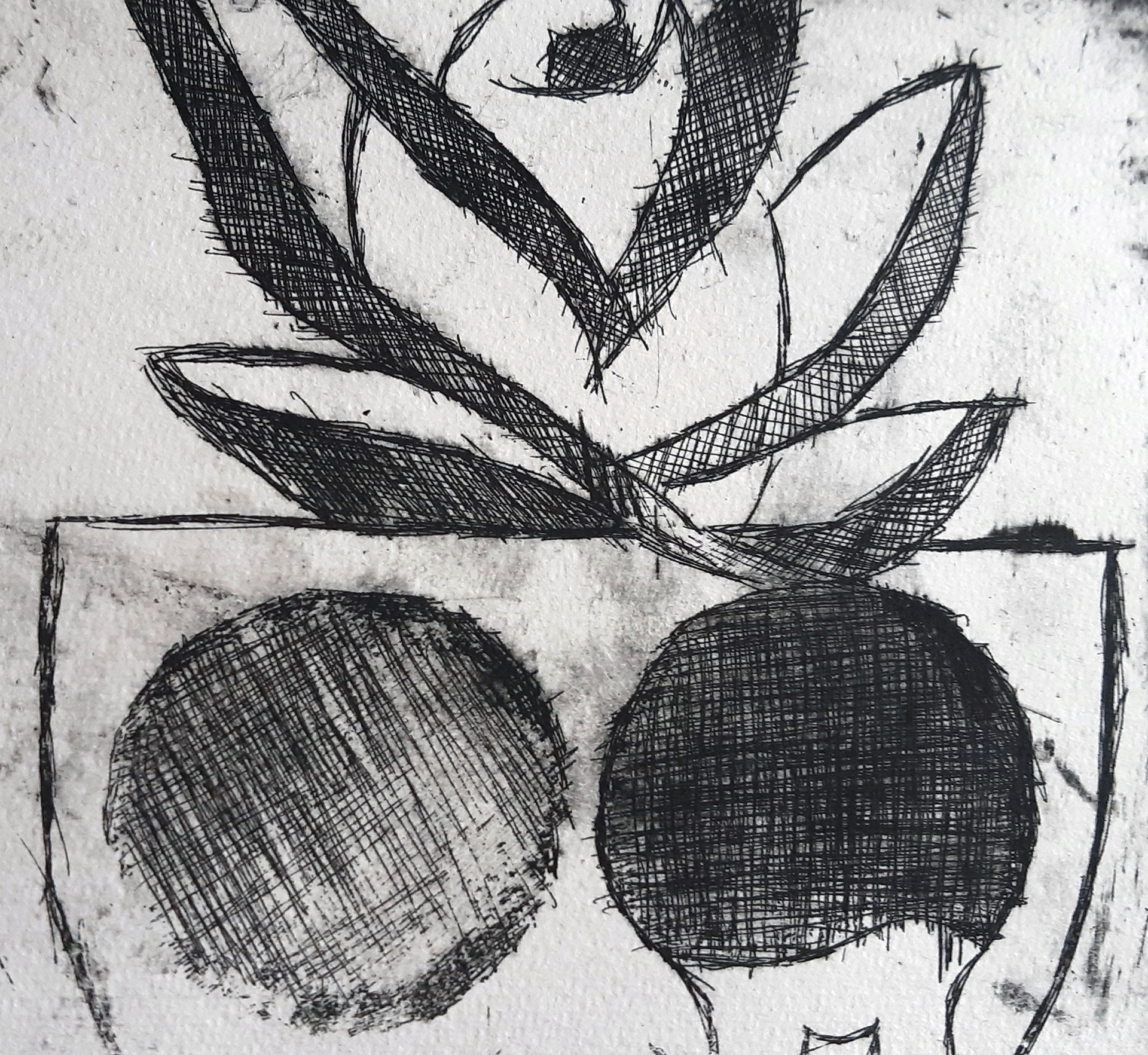 Krista Slater- Beauty in Decay - Printmaking