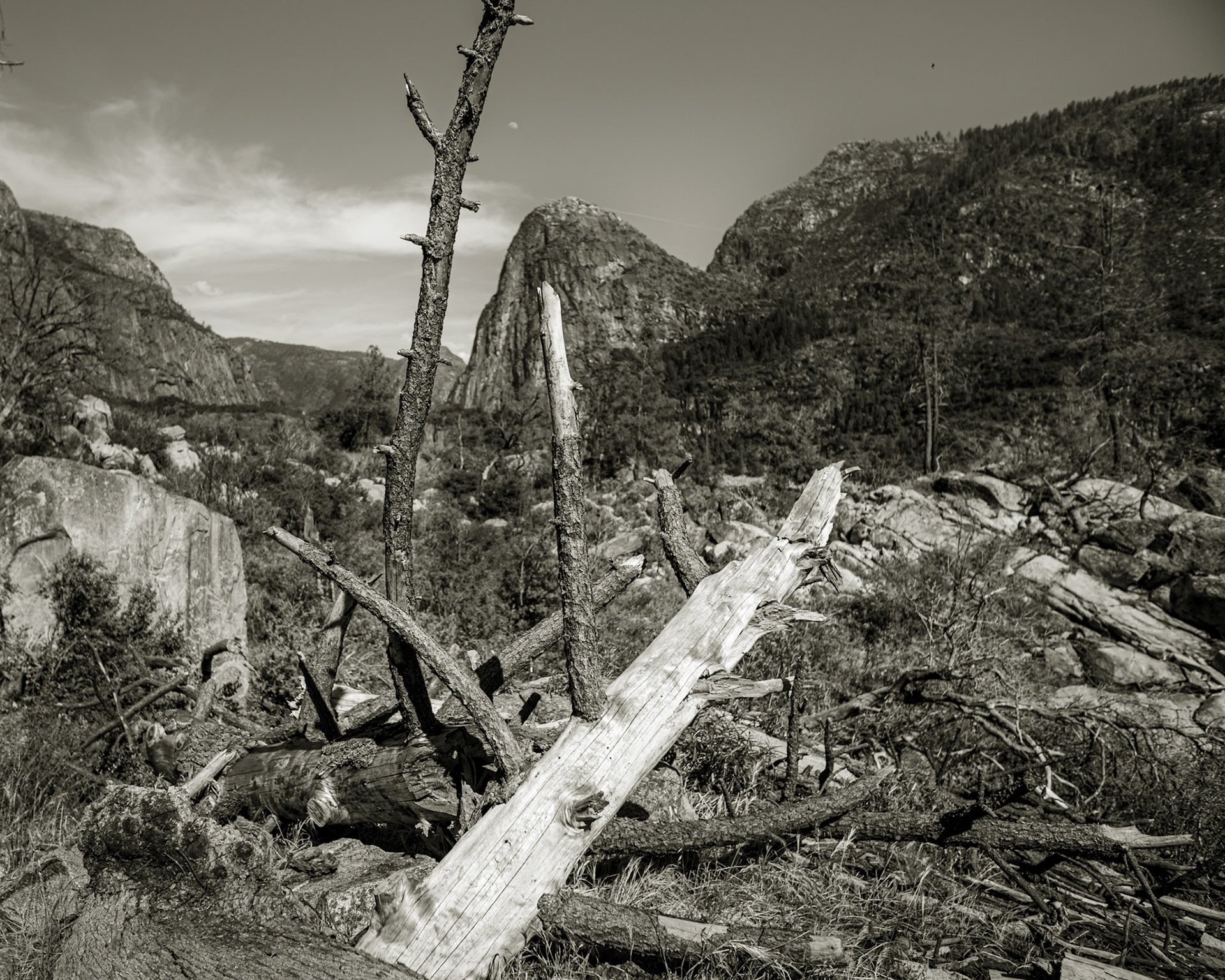 Hetch Hetchy