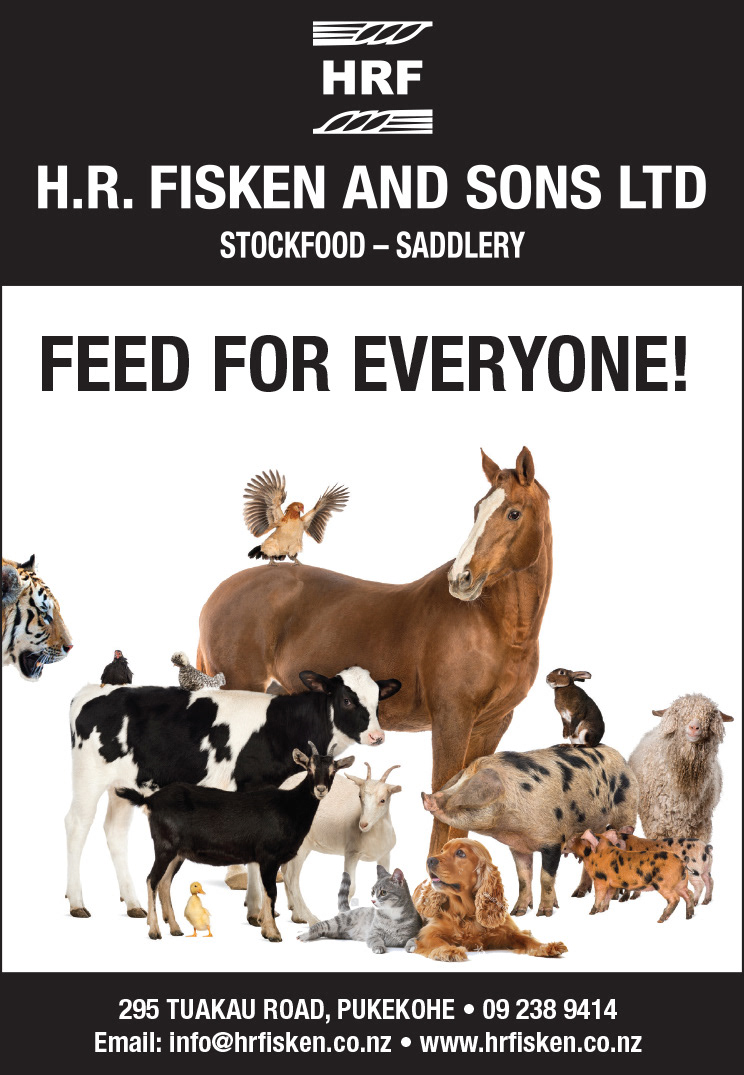 Newspaper Advertsing