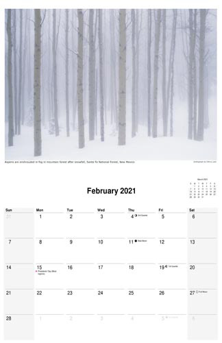 February 2021 scenic calendar, winter forest aspen trees photography