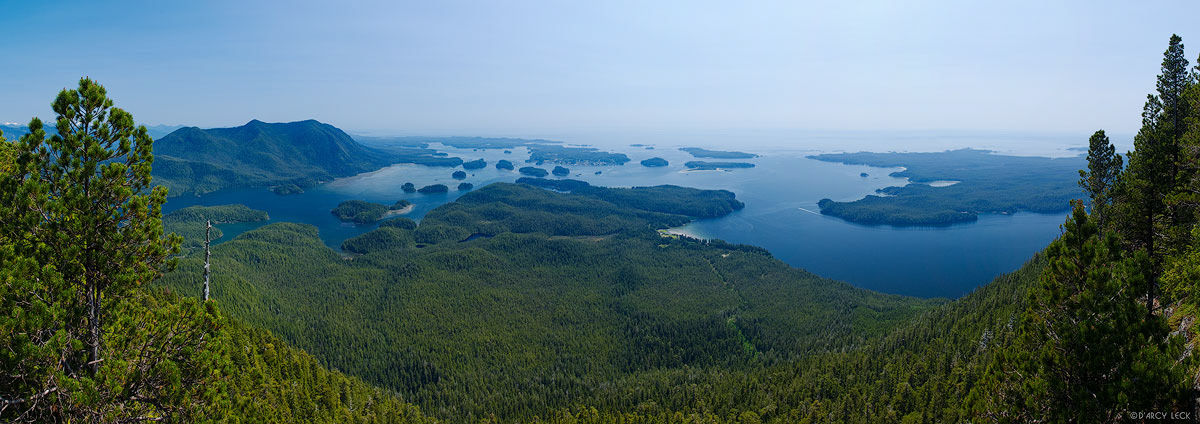 Forested islands dot Tofino Bay on a sunny summer day as seen from the top lookout on Lone Cone on Meares Island, British Columbia