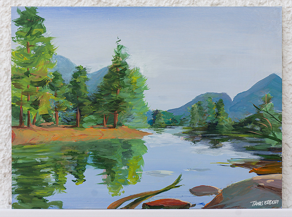 Yosemite C - 2020 50x30 cm Acrylic on woodboard
