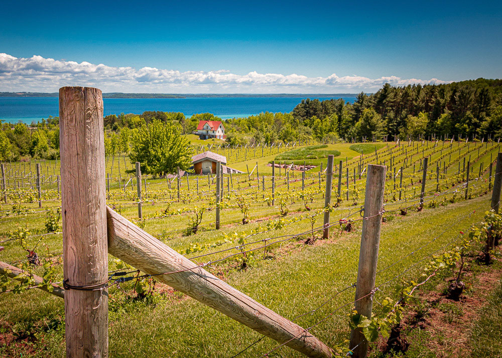 Leelanau Peninsula Vineyard - MI0912