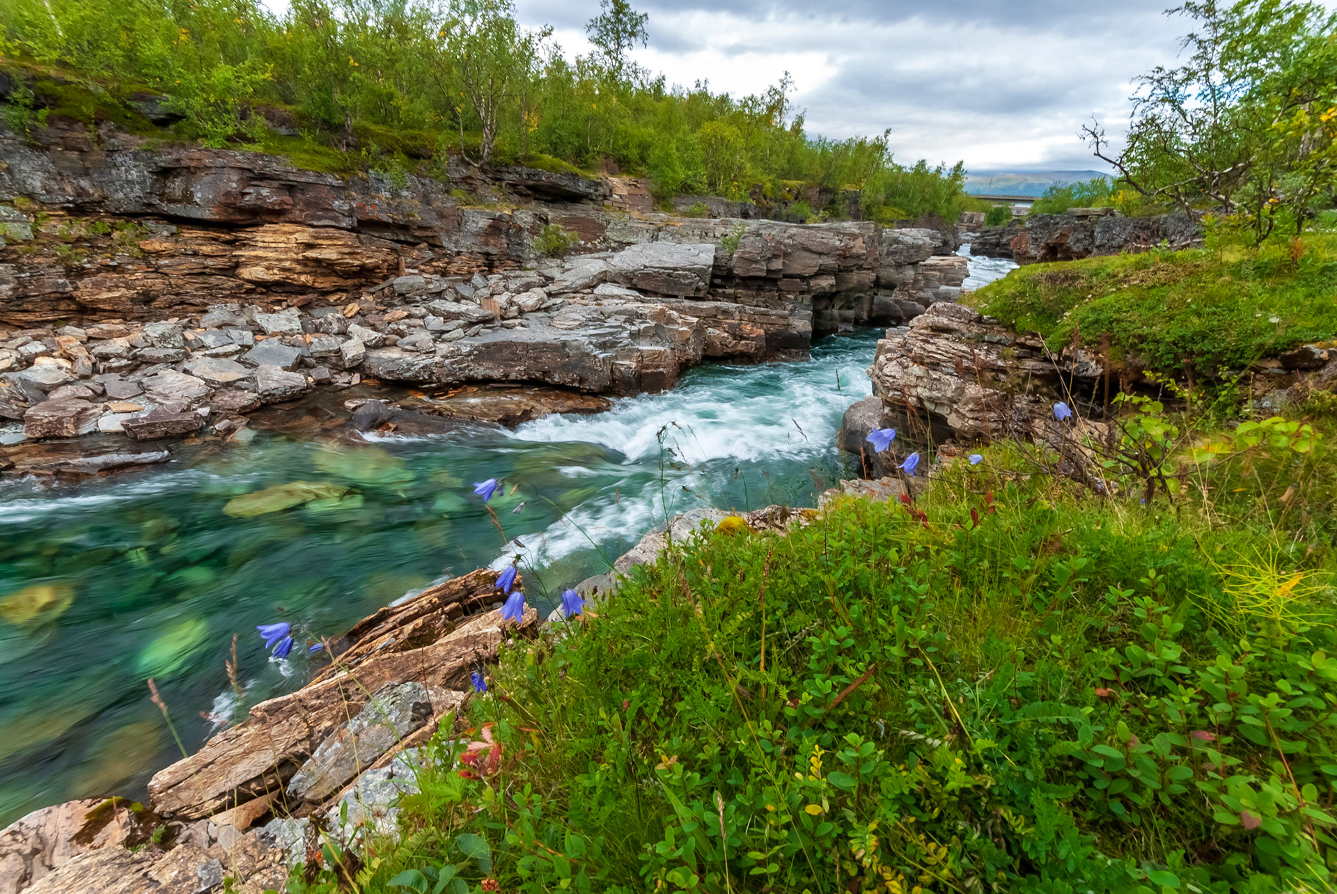 Abisko Kanjon, Abiskojokken