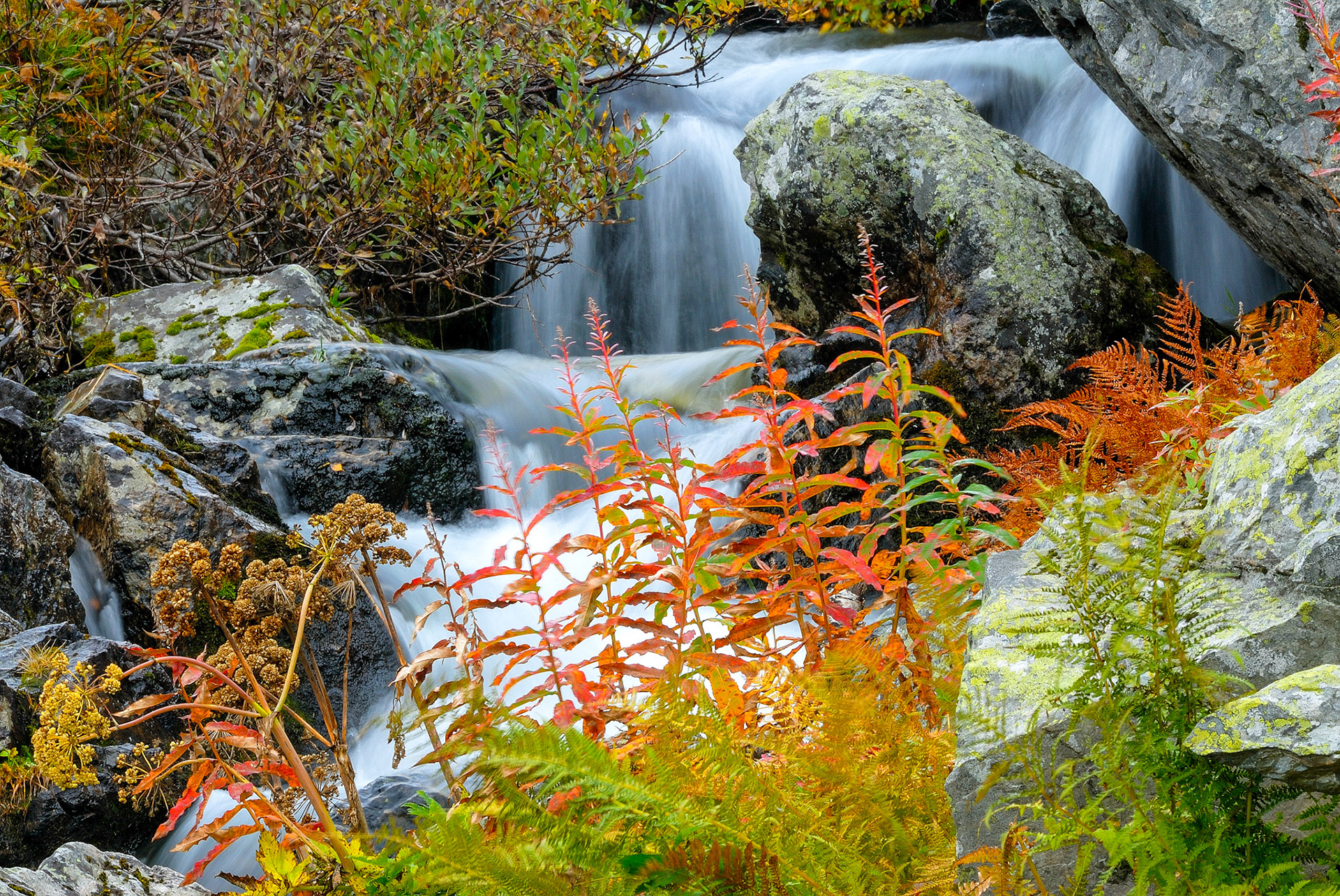 Vattendraget nedanför Silverfallet i Grövelsjöfjällen