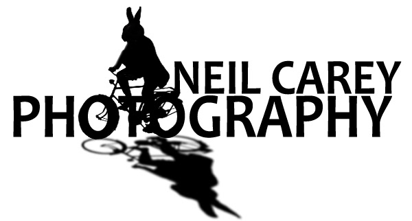 Neil Carey