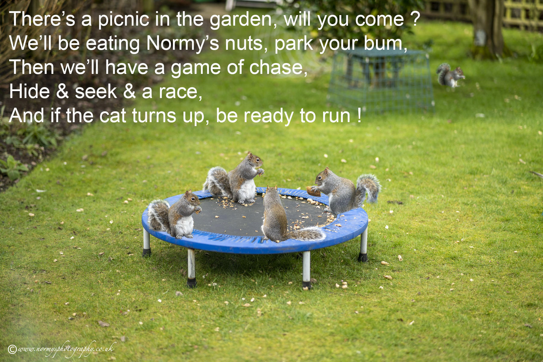 Picnic in the park
