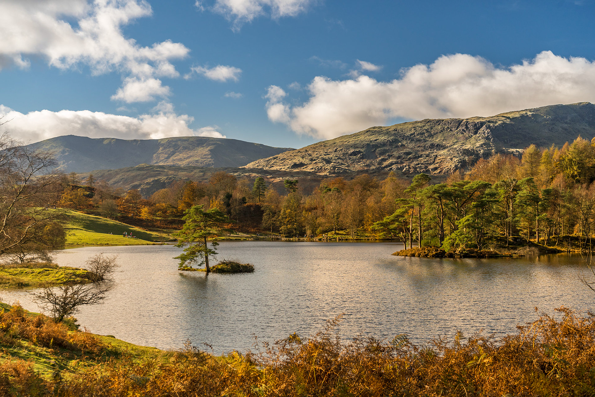 Tarn Hows