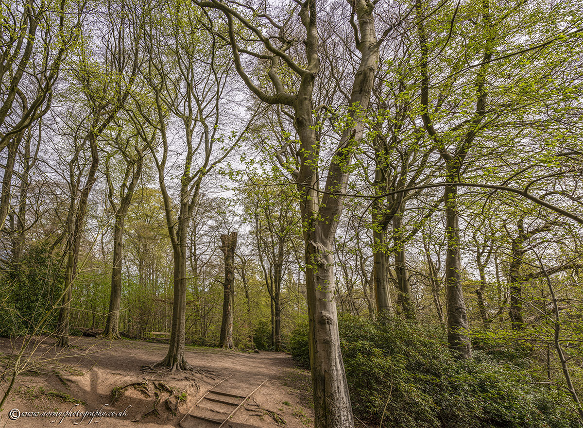 The path round the dam