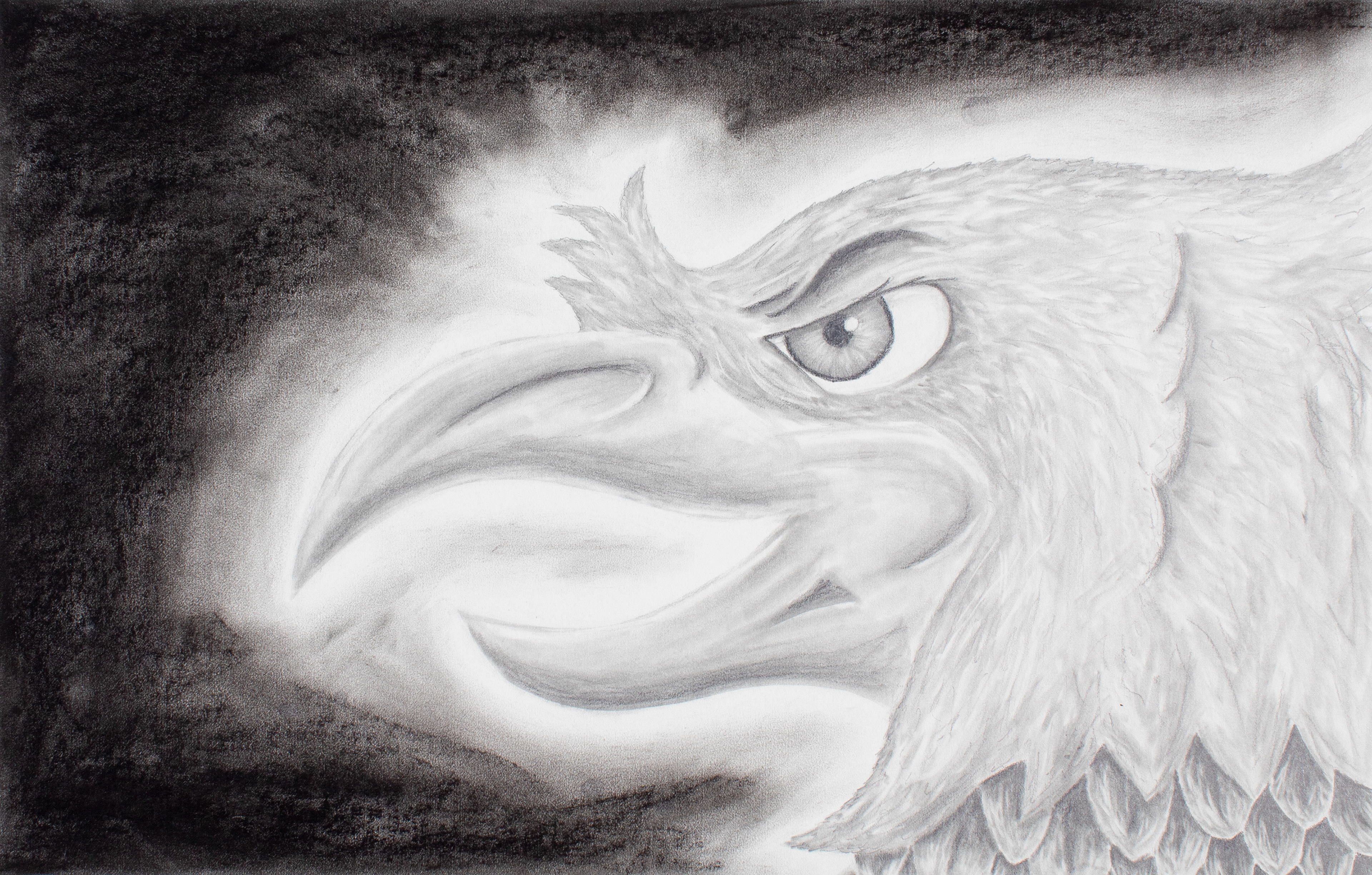 The Garuda, Graphite and Charcoal