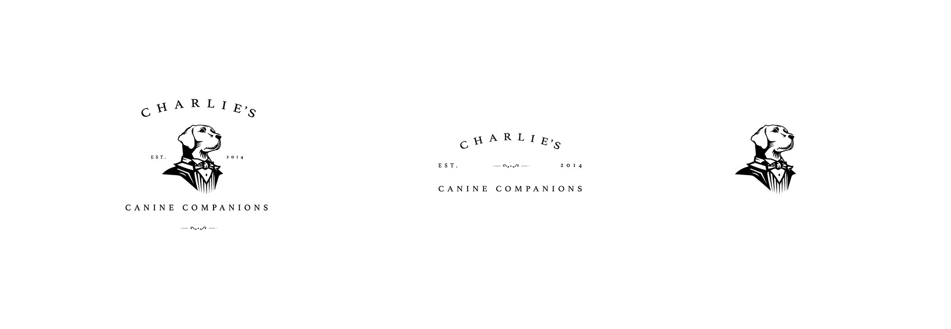 The logo is studied to be responsive in this case we have 3 different version to be used in different occasions