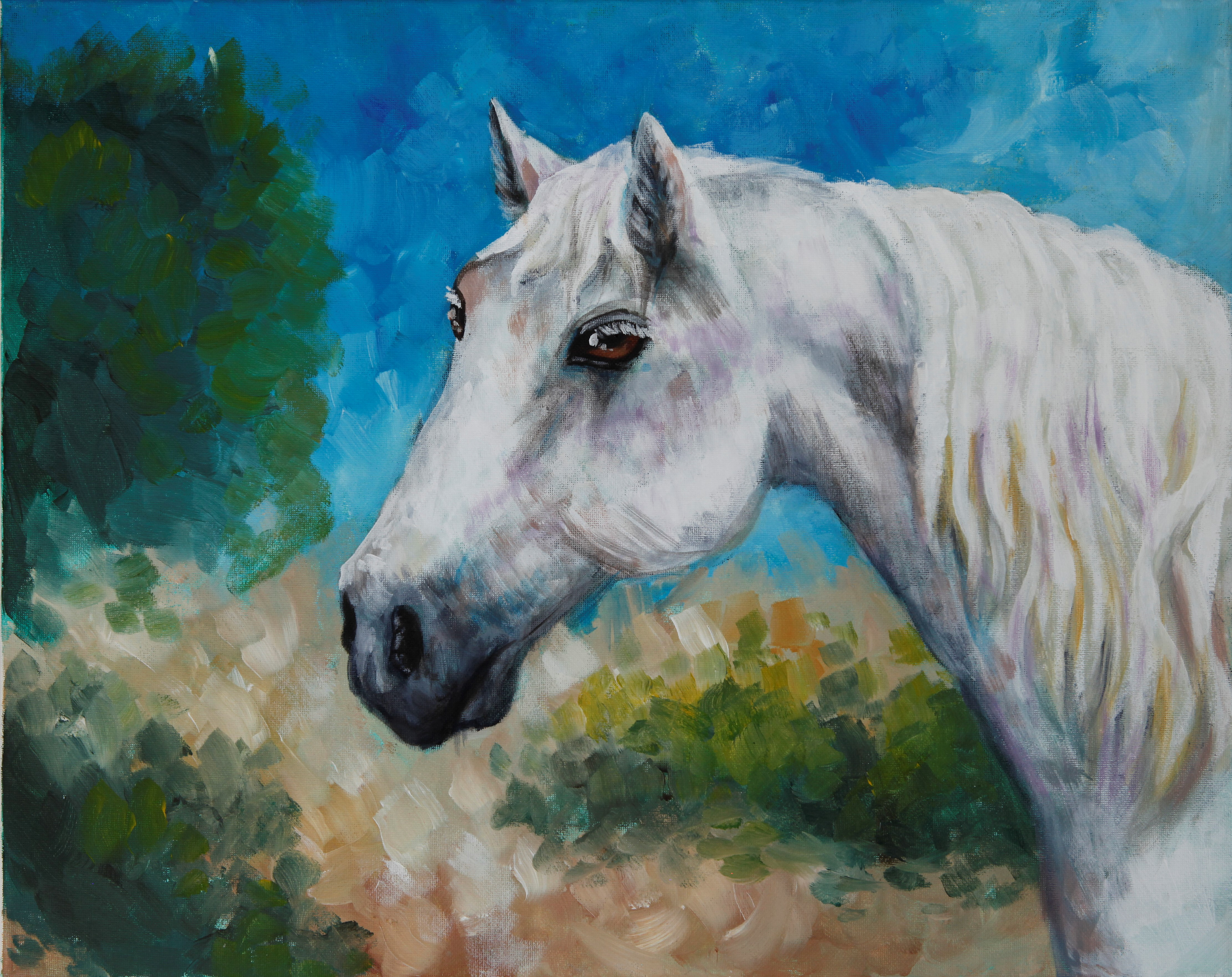 Horse portrait