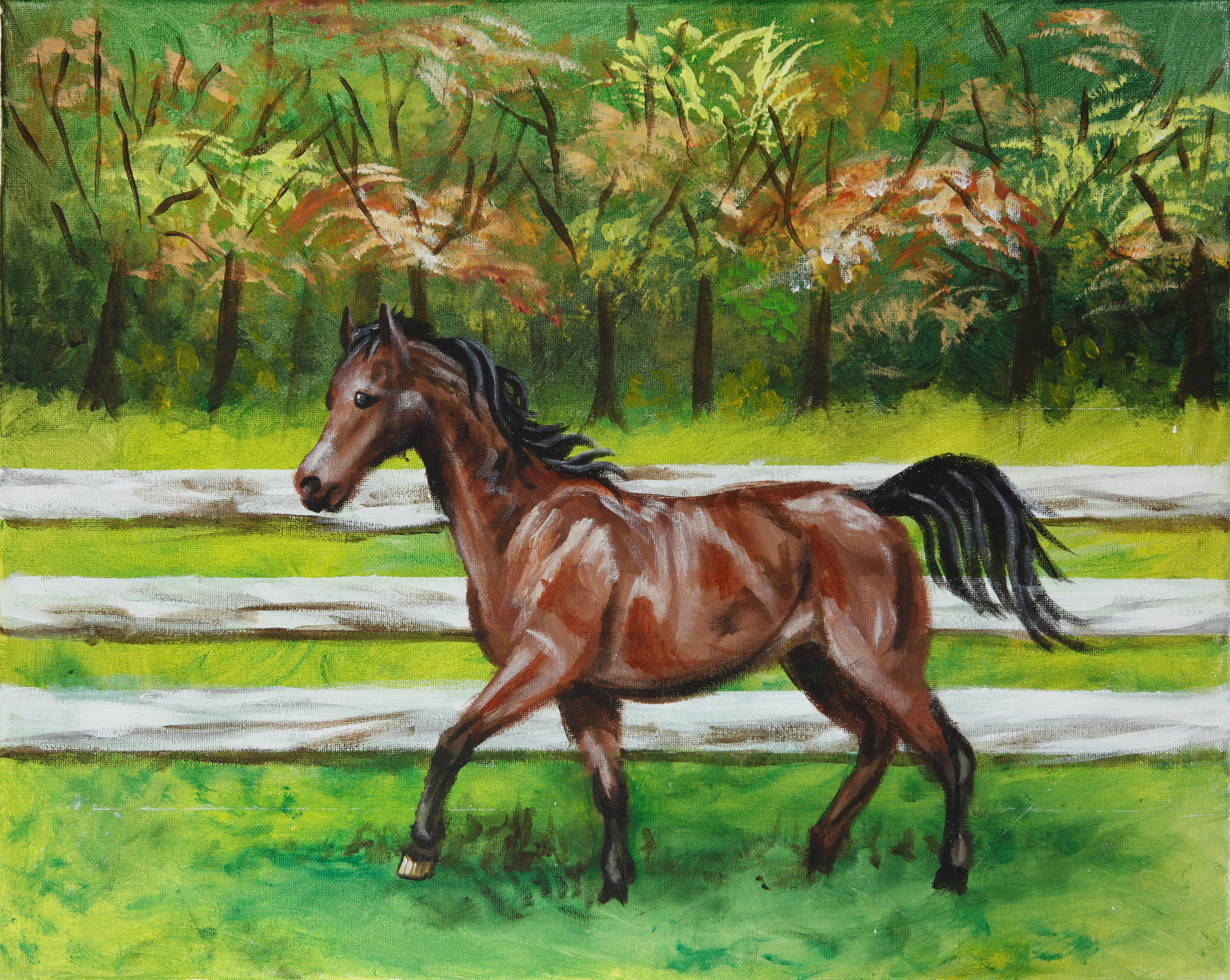 Running horse