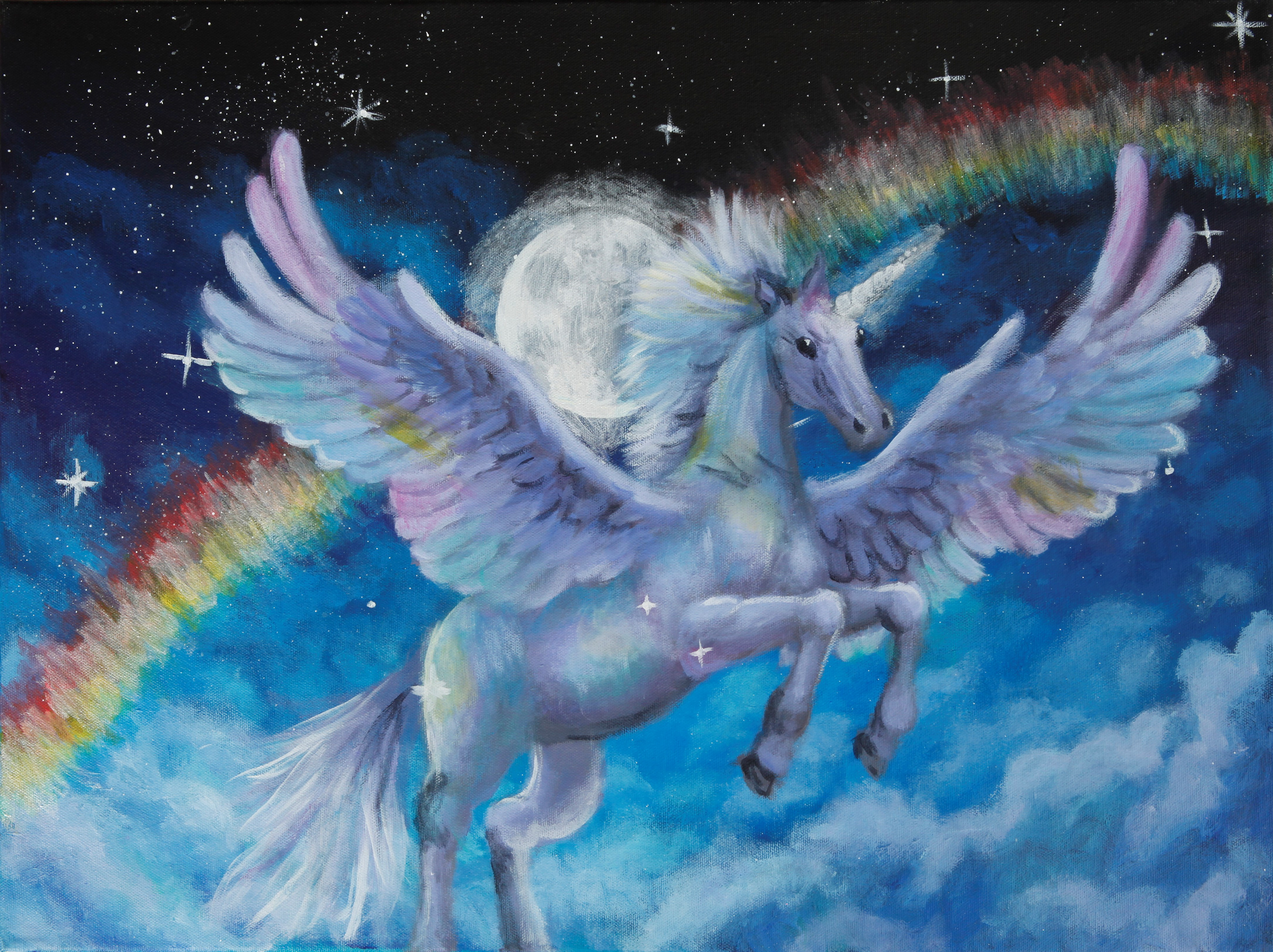 Flying horse under the rainbow