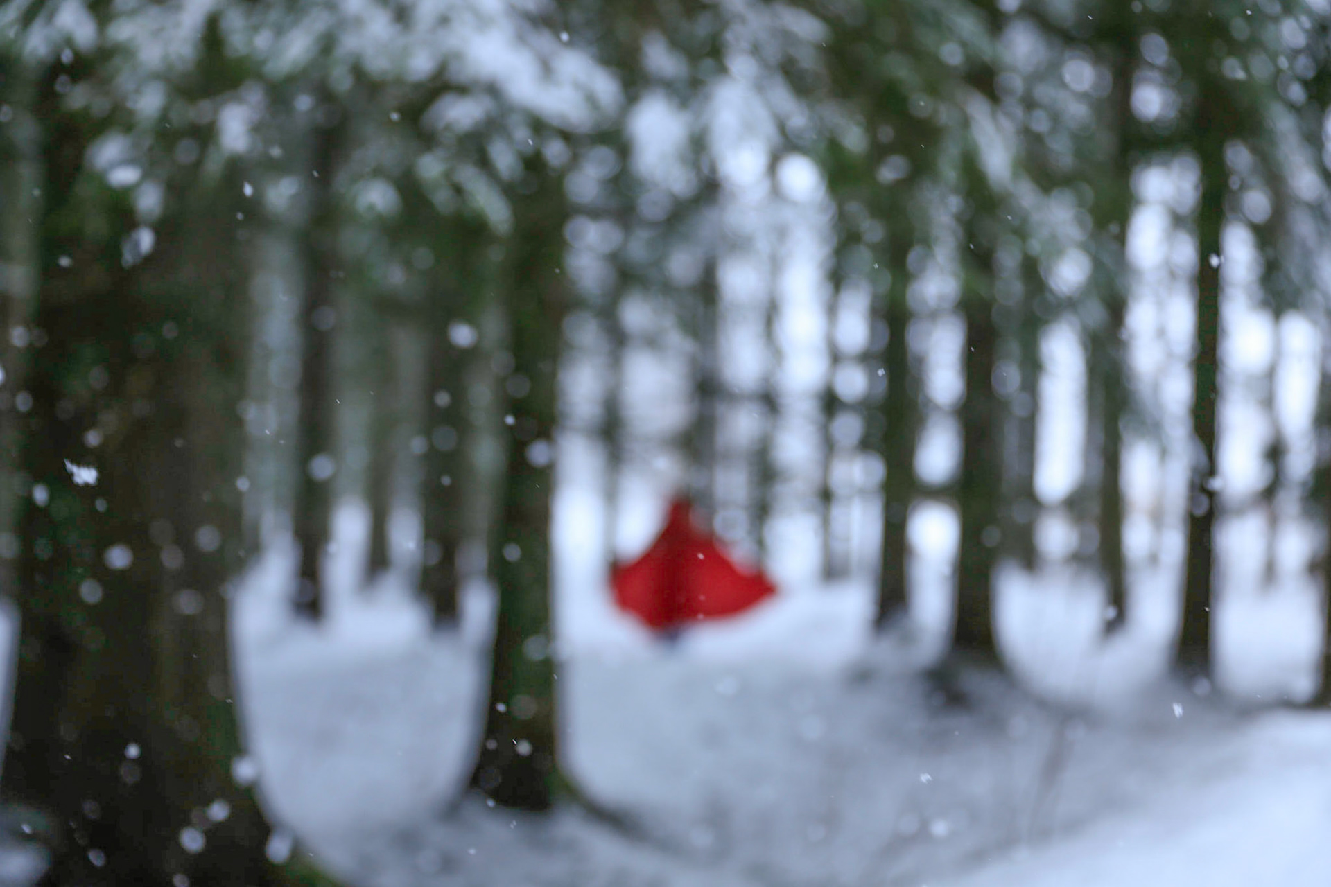 Red riding hood