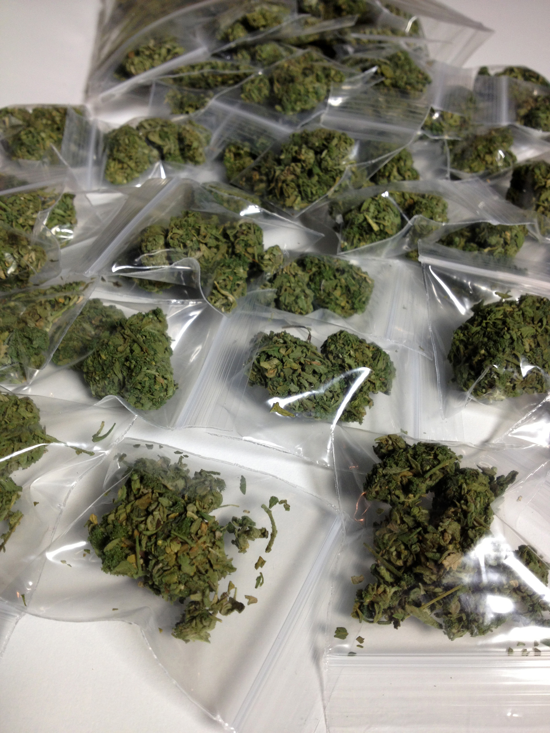 BAGS OF BUDS