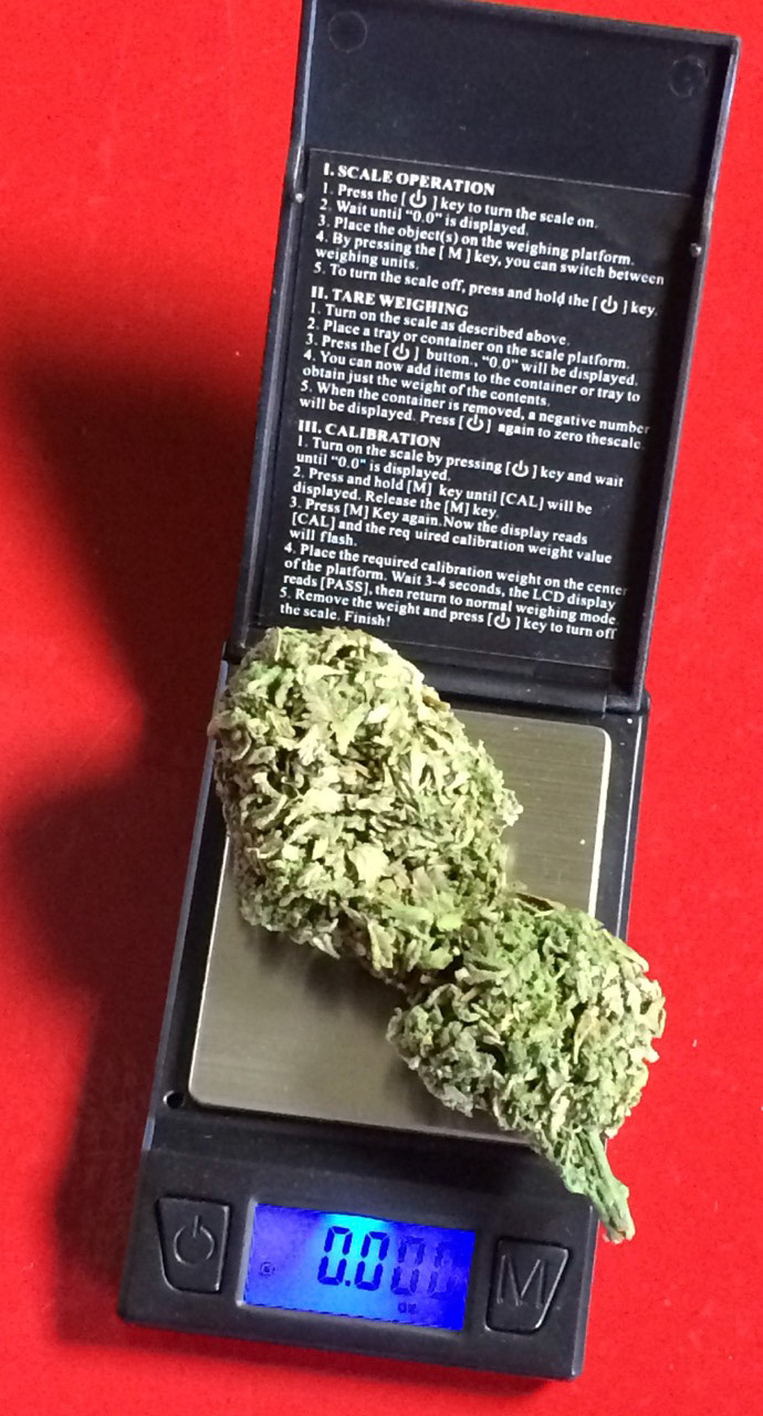 SCALES & BUD