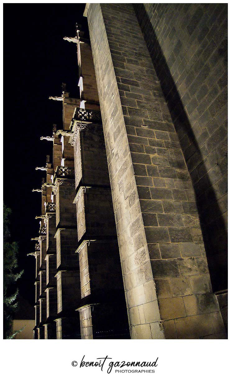 Cathédrale Saint Etienn
