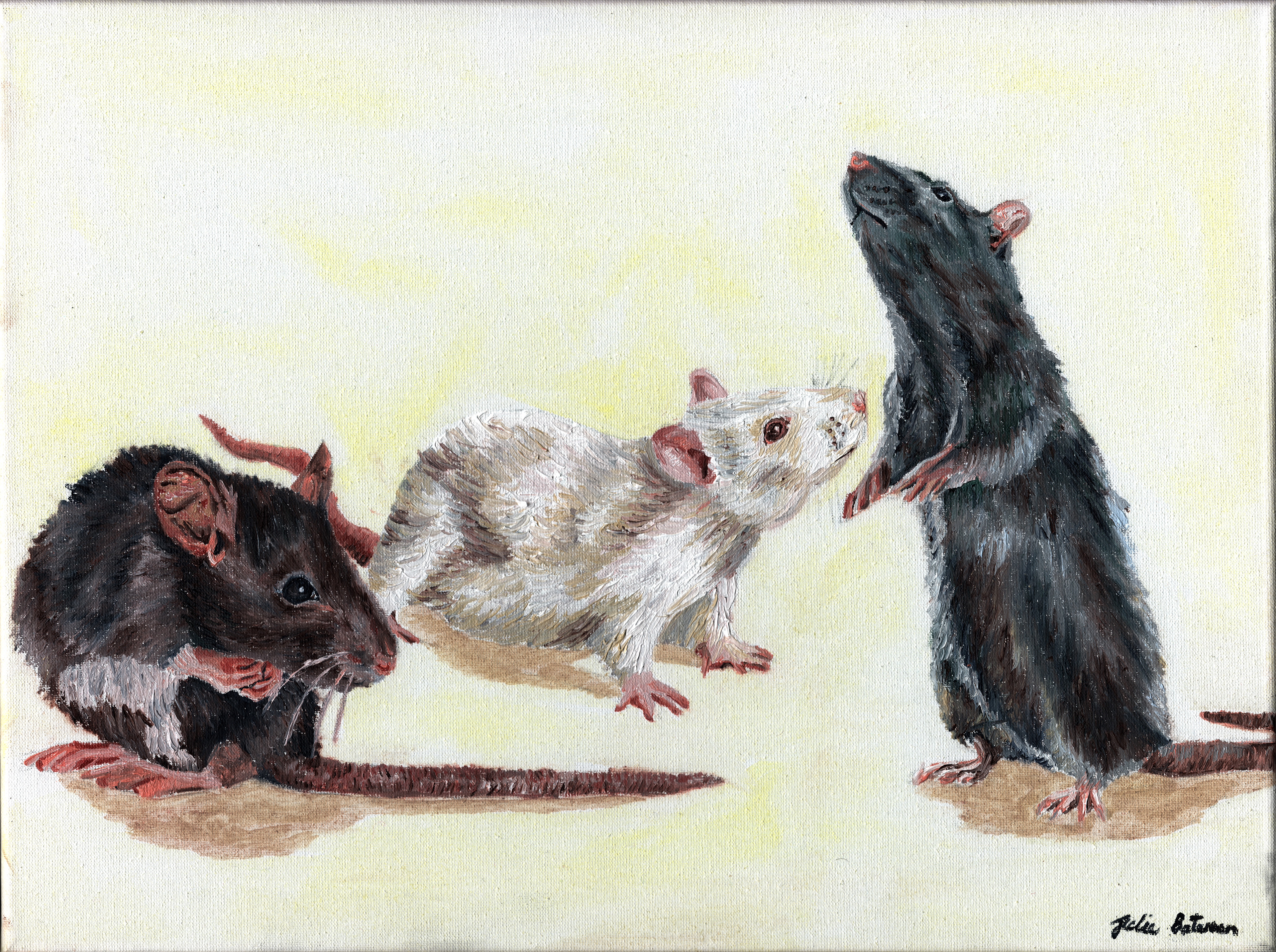 Rats Oil on Canvas 12/2018