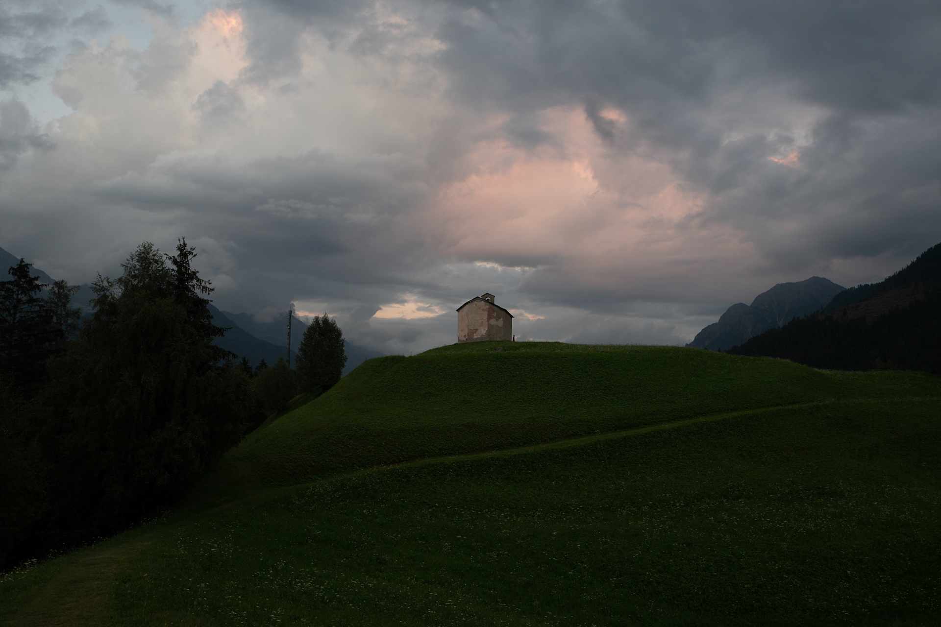Selva