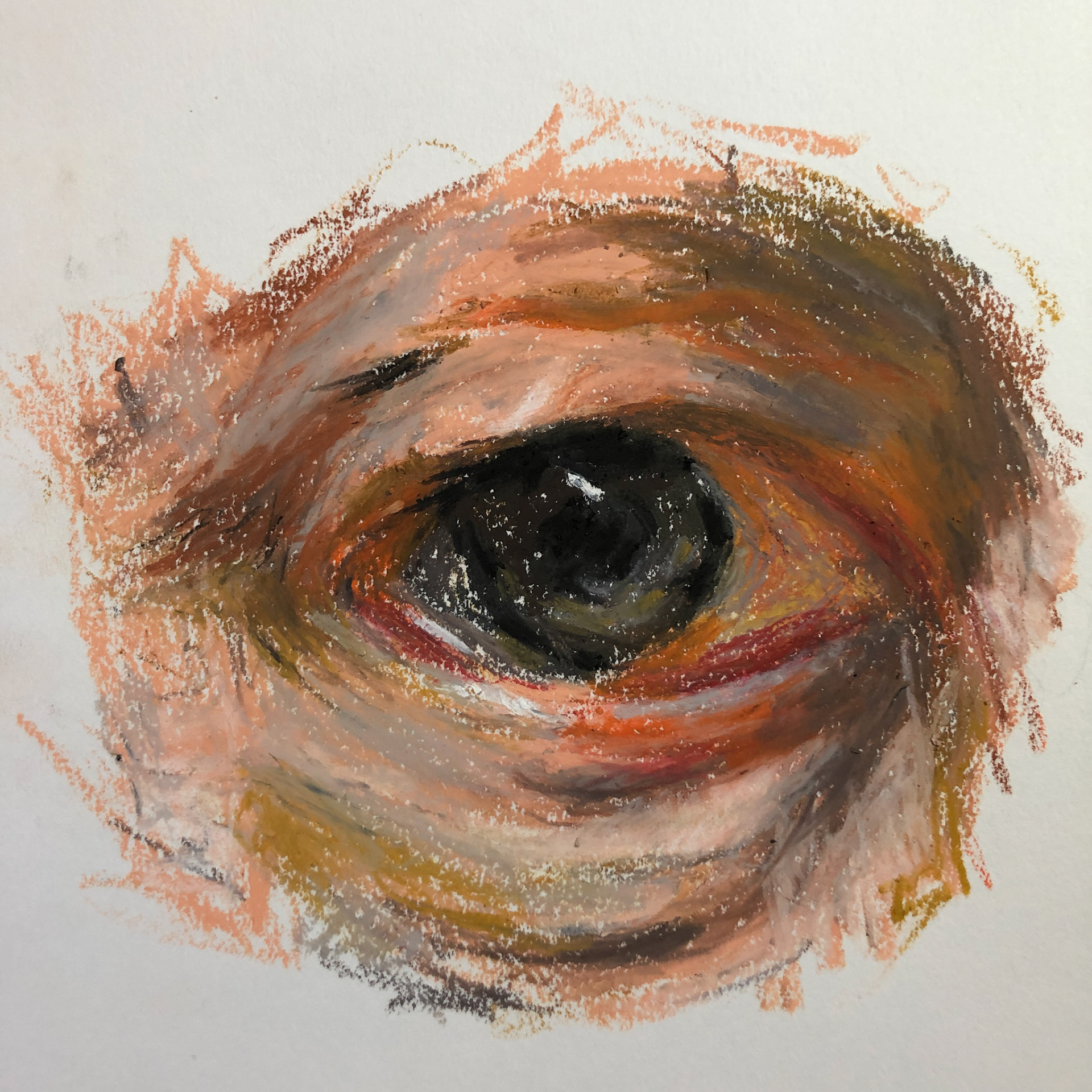 Rembrandt's eye study - oil pastels