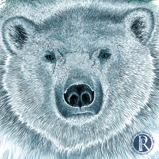 ©Ruth Rowland Lettering Artist & Illustrator - Christmas Card Illustration: Polar Bear with Norther Lights Detail