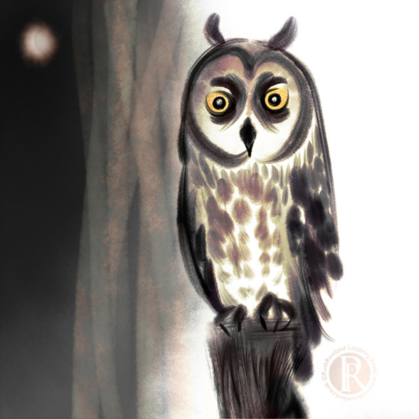 Focused Owl . Bird Illustration