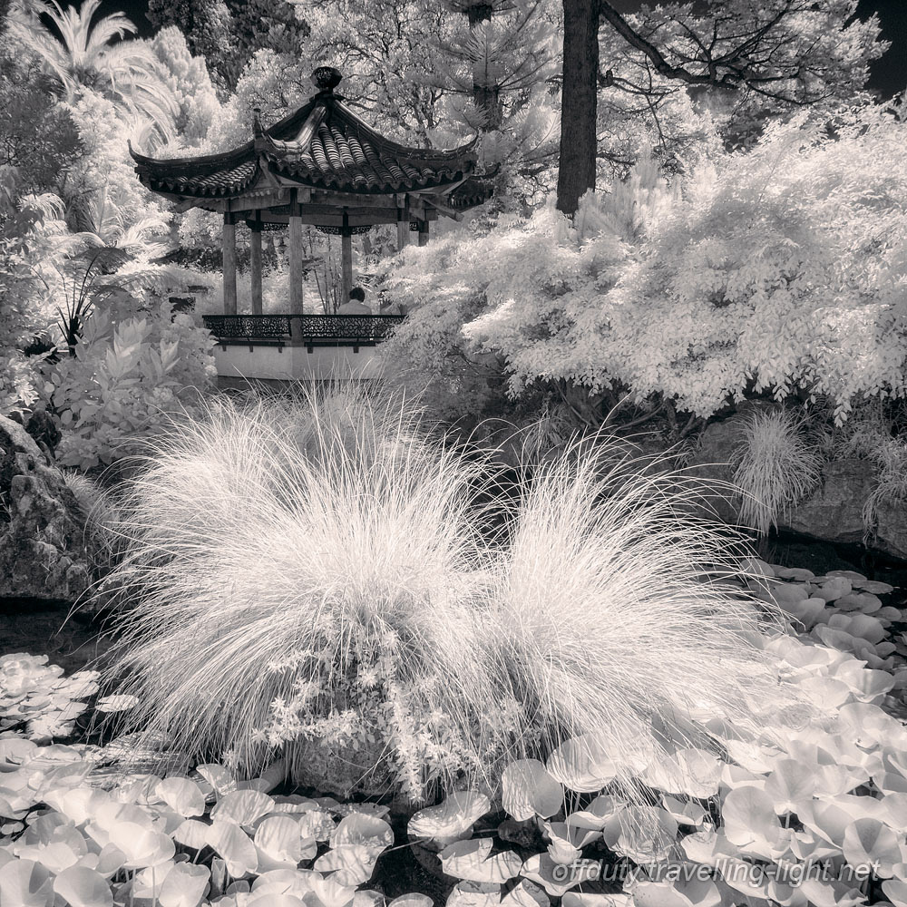 Huangshi Chinese Garden 03