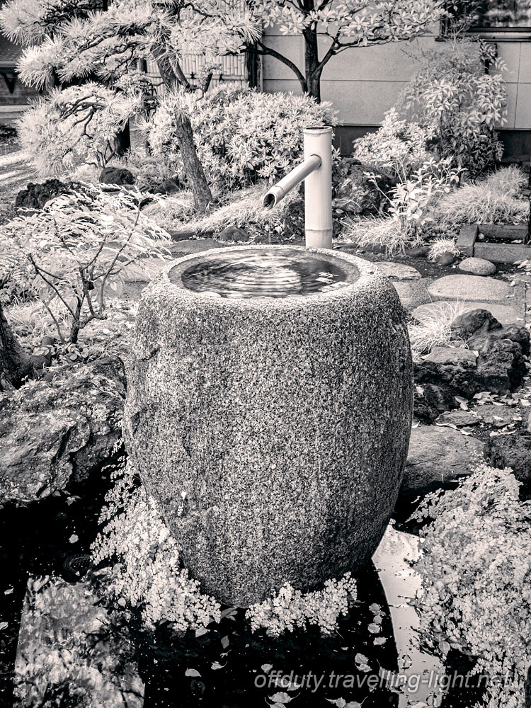 Kiyosumi Garden 13