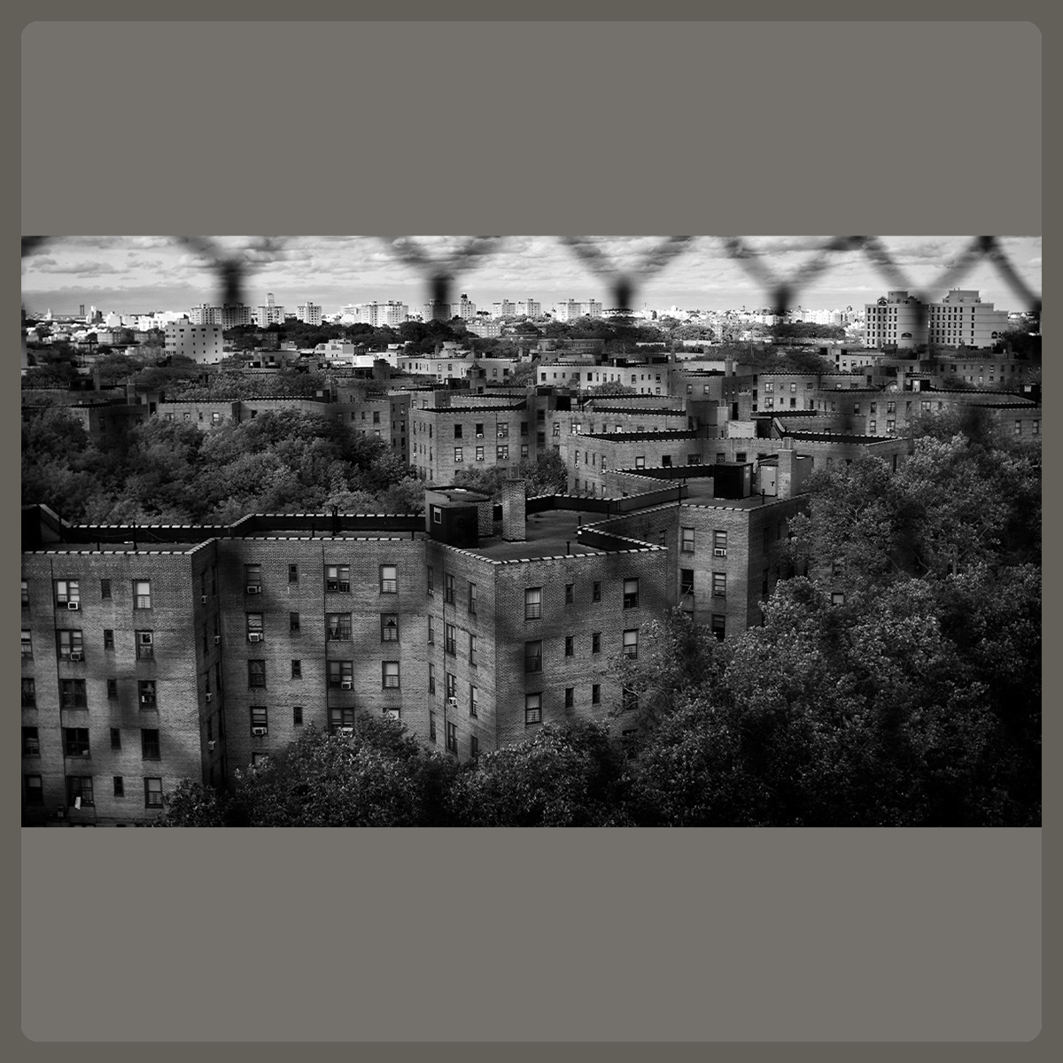 Queens, NY, Pete Gardner, Photographer, London, UK, © Copyright Pete Gardner