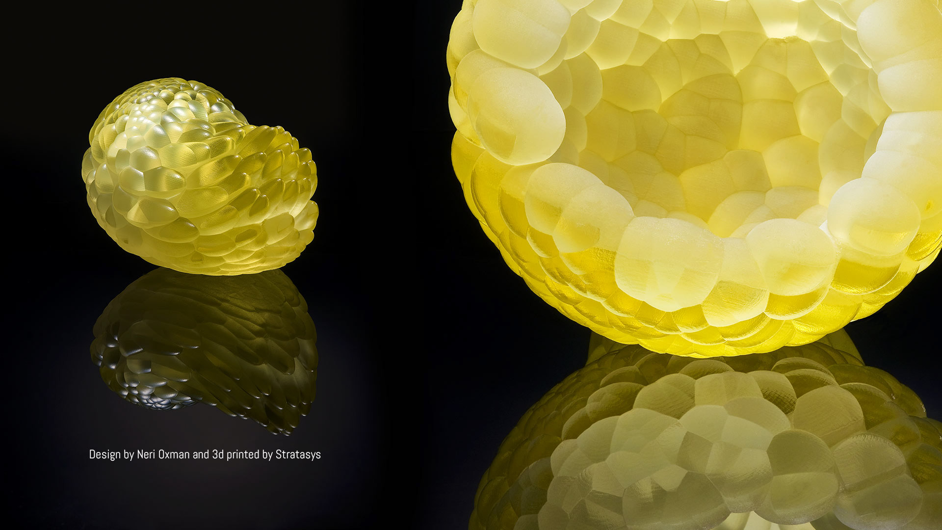 Neri Oxman 3D printed art works