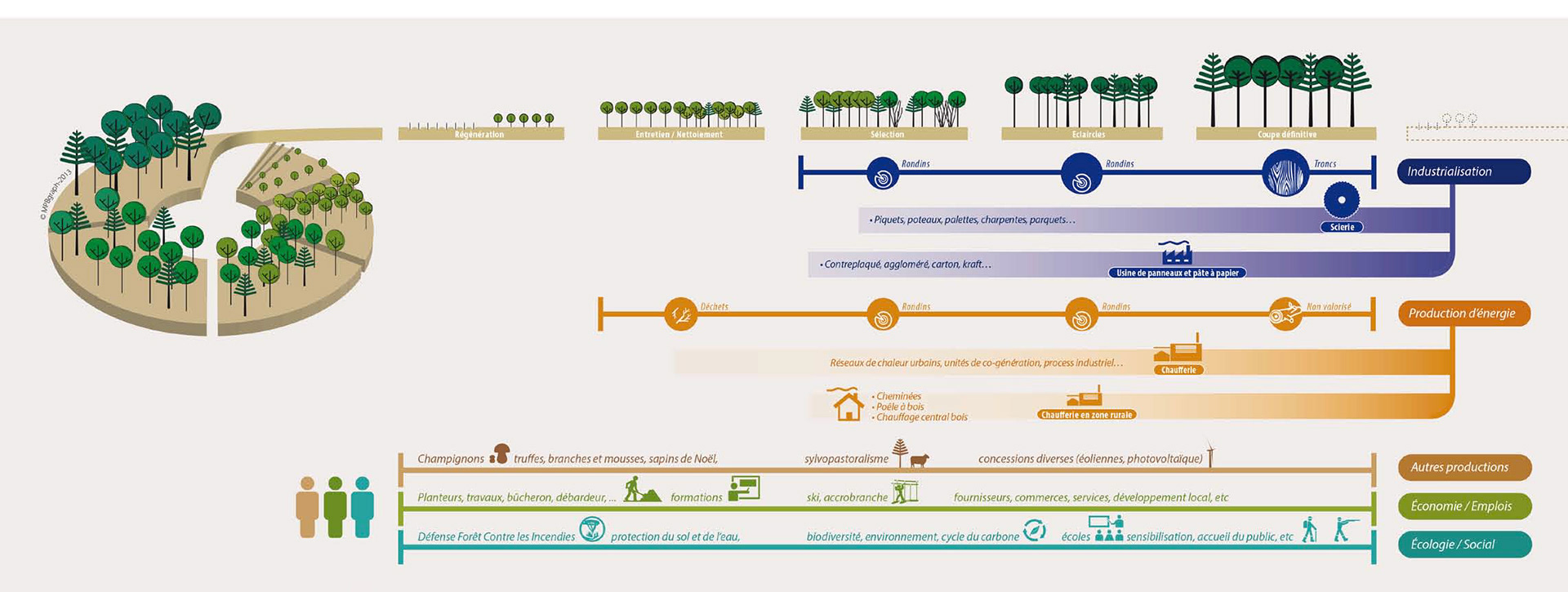 Cycle de webinaires - La forêt et la filière bois - Solagro