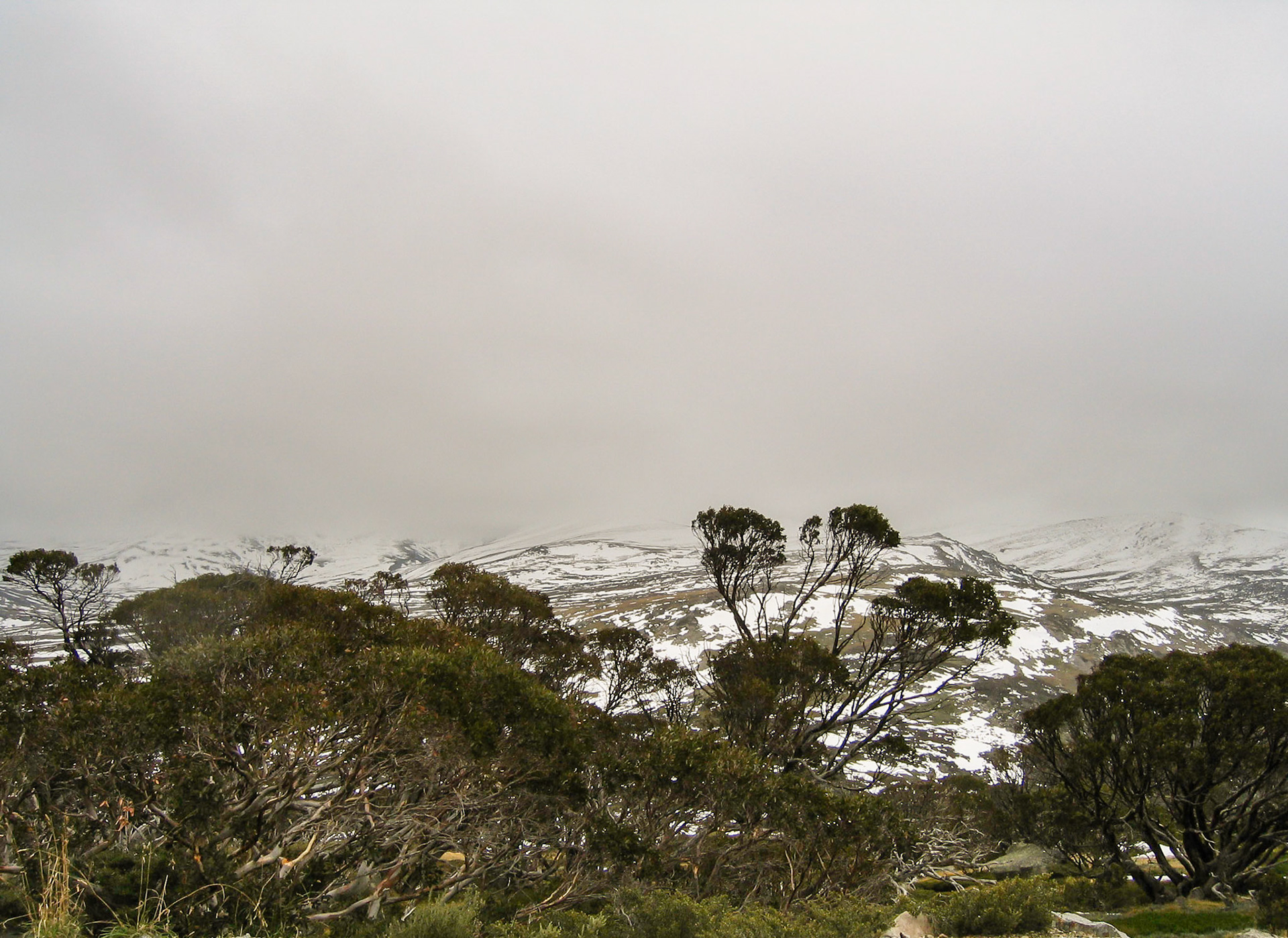 Mount Kosciuszko