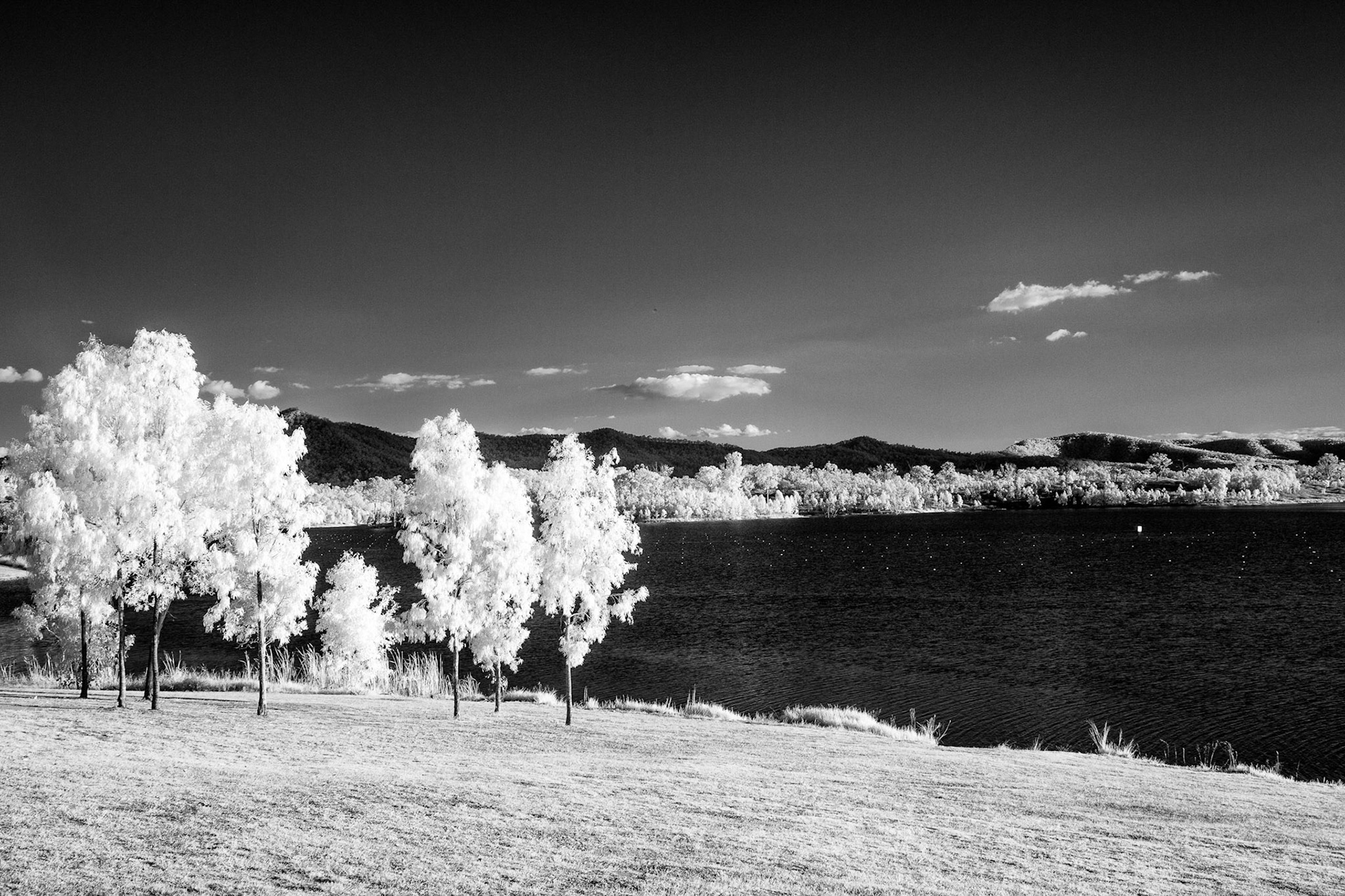 Infrared Image - Meebun Day Use Area, Wyaralong Dam