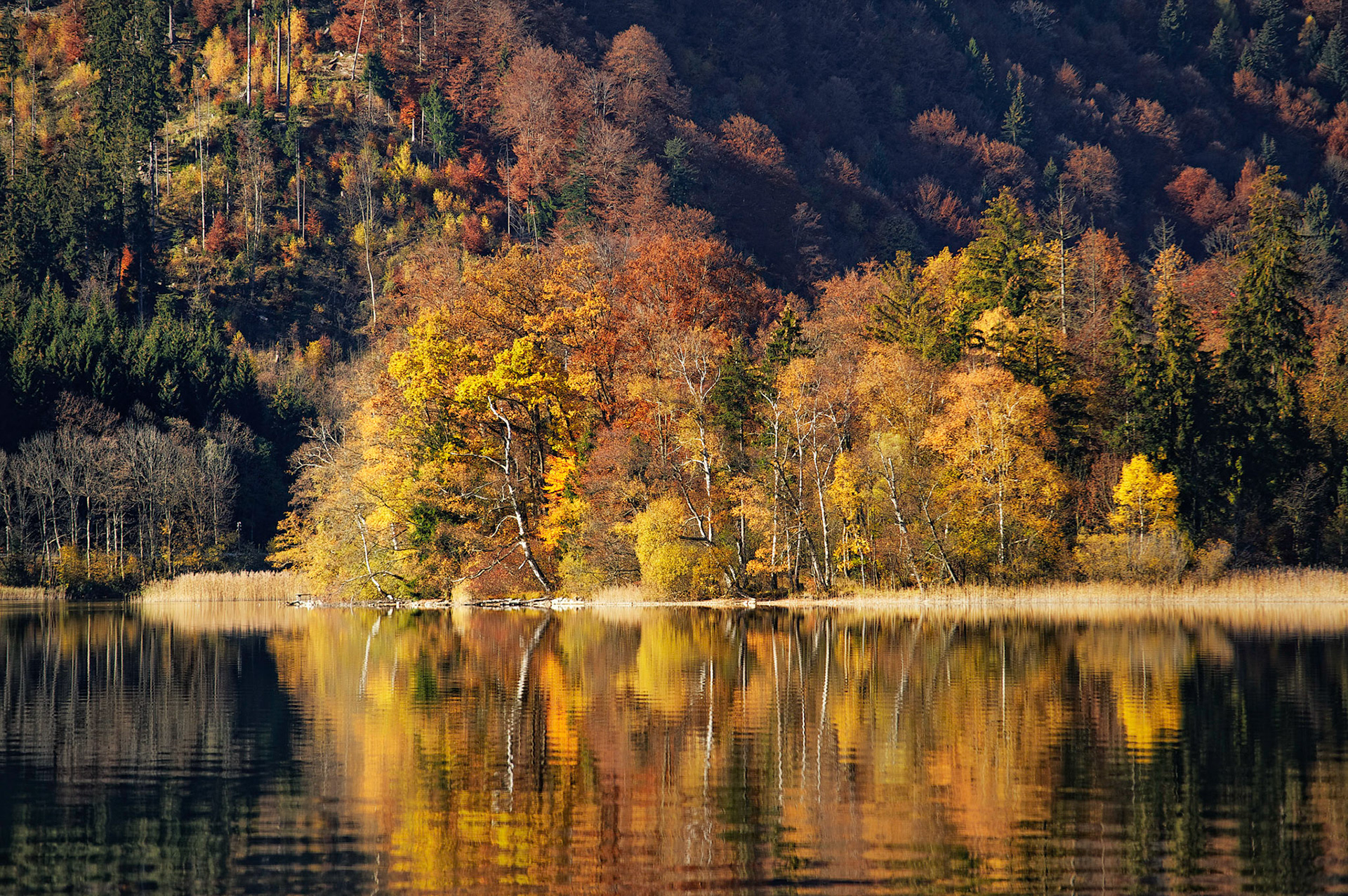 Lake Schliersee, Bavarian Alps