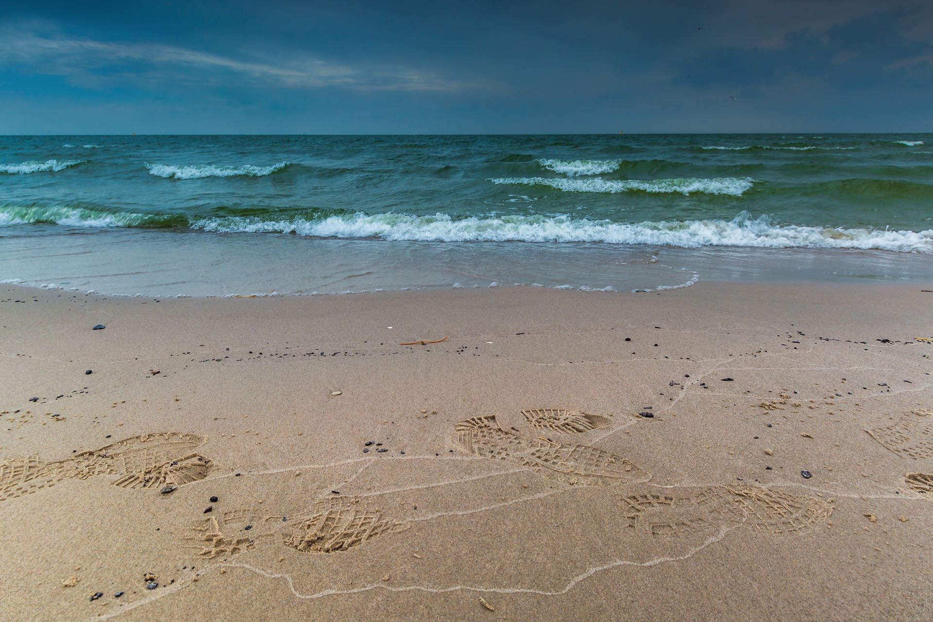#MWF1006 Markerwadden