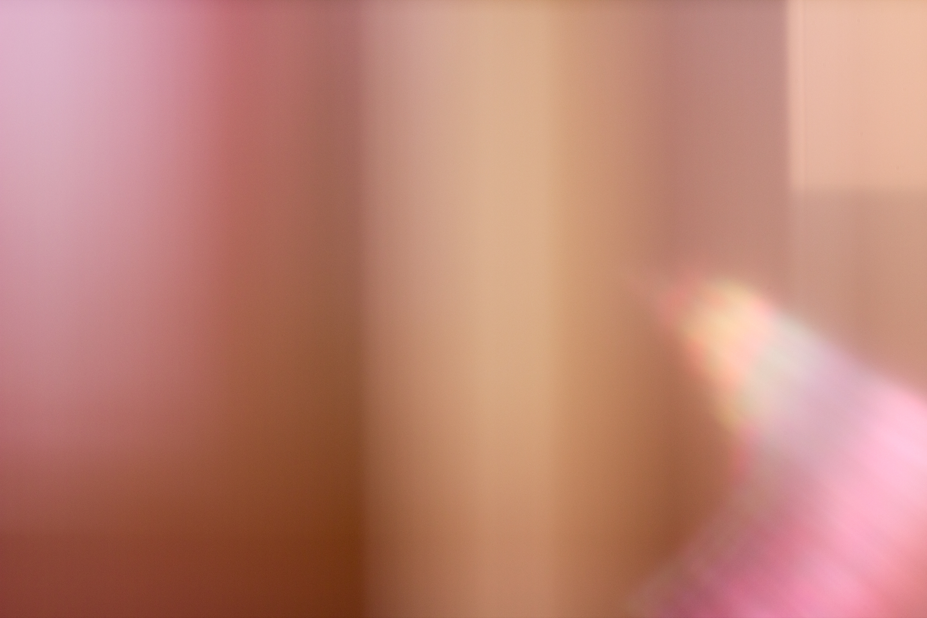 "Yellow and Pink Variations," 2013 Digital photograph on canvas