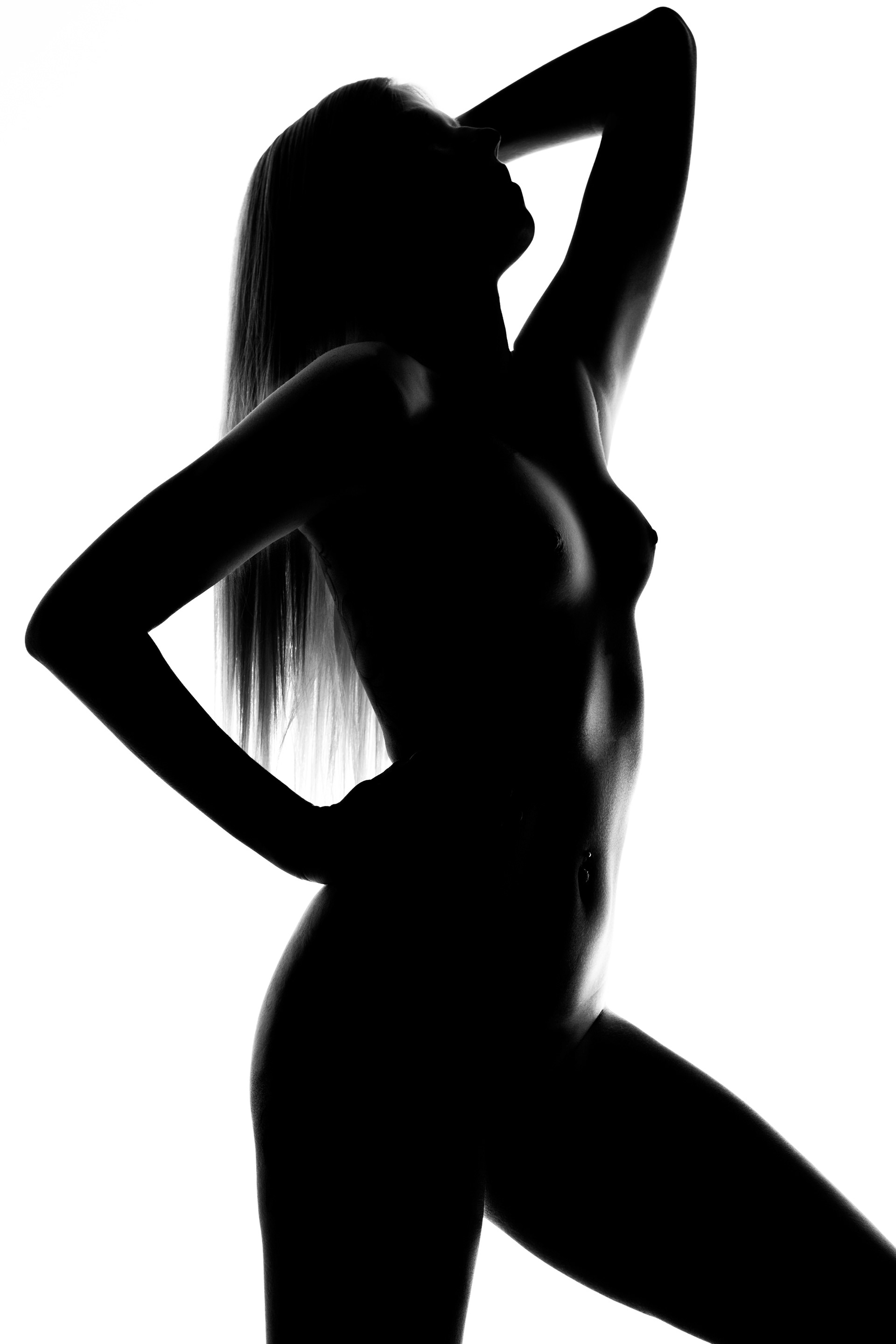 Collection of various artistic nude silhouette shoots. 