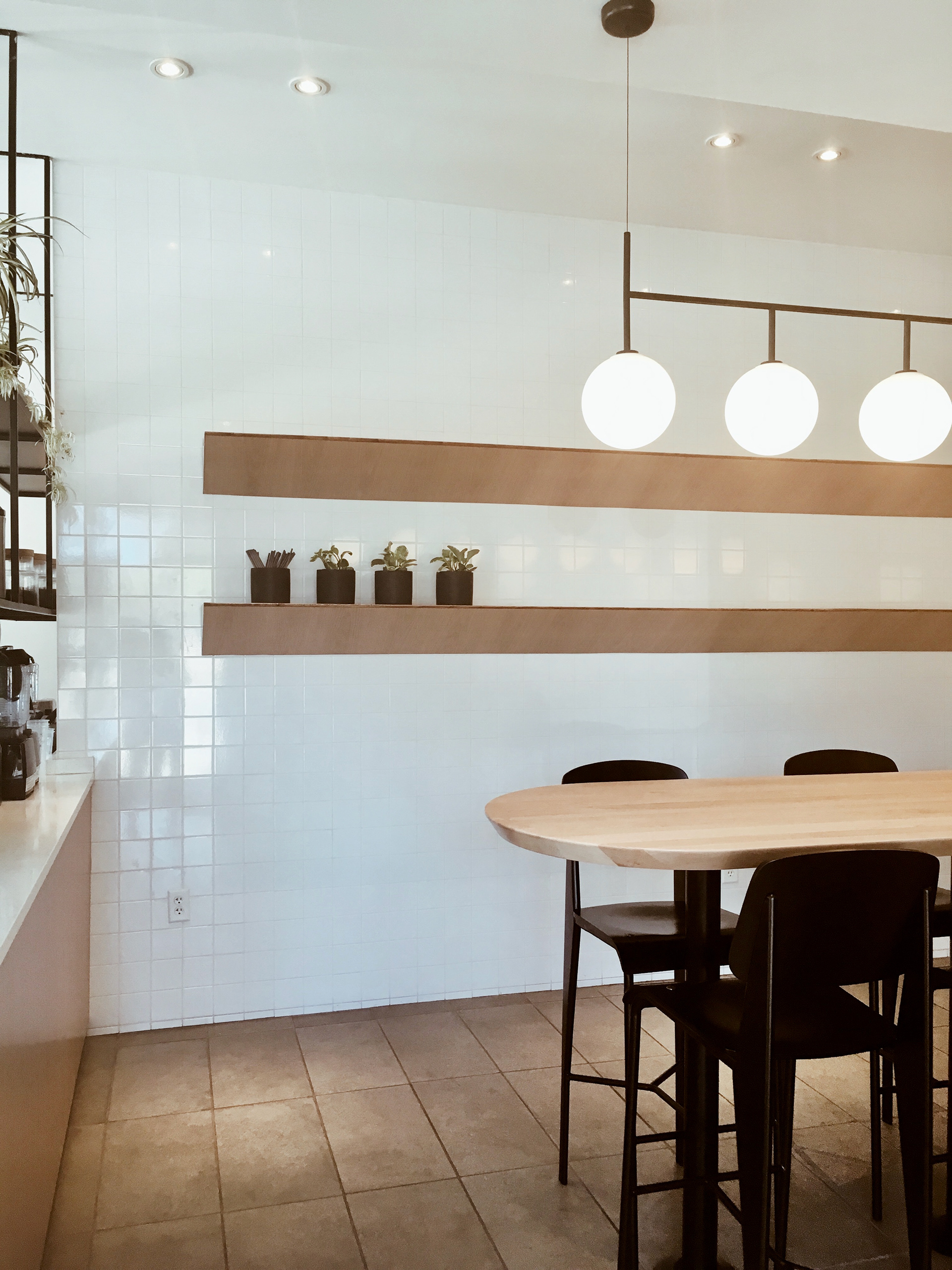 makenzie cooper Frosty Fox