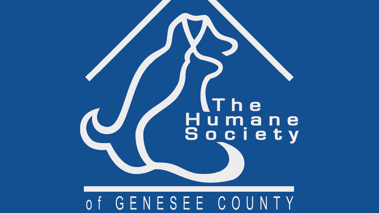 Hailey Andres The Humane Society of Genesee County