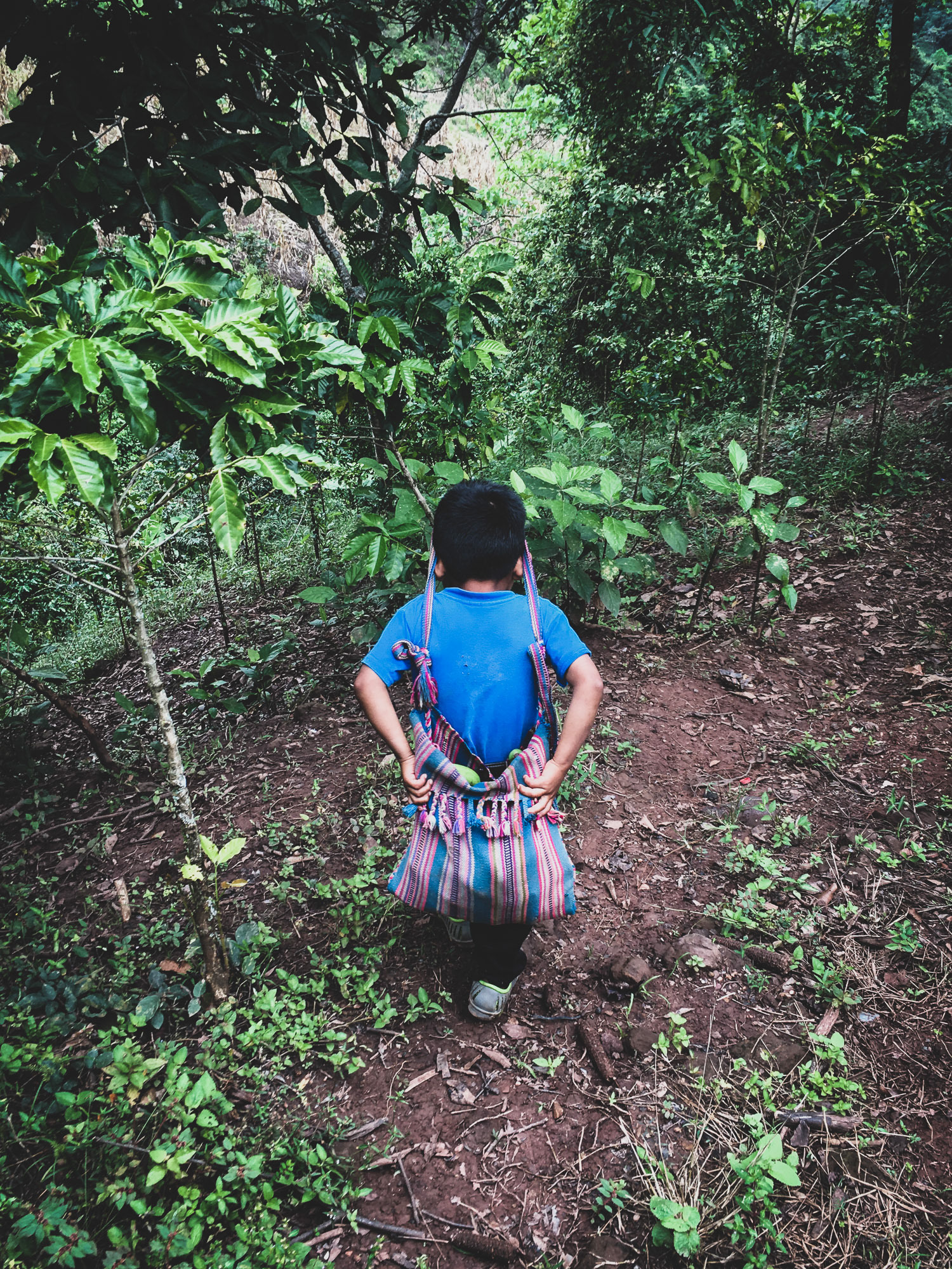 Heavy loads for little ones.